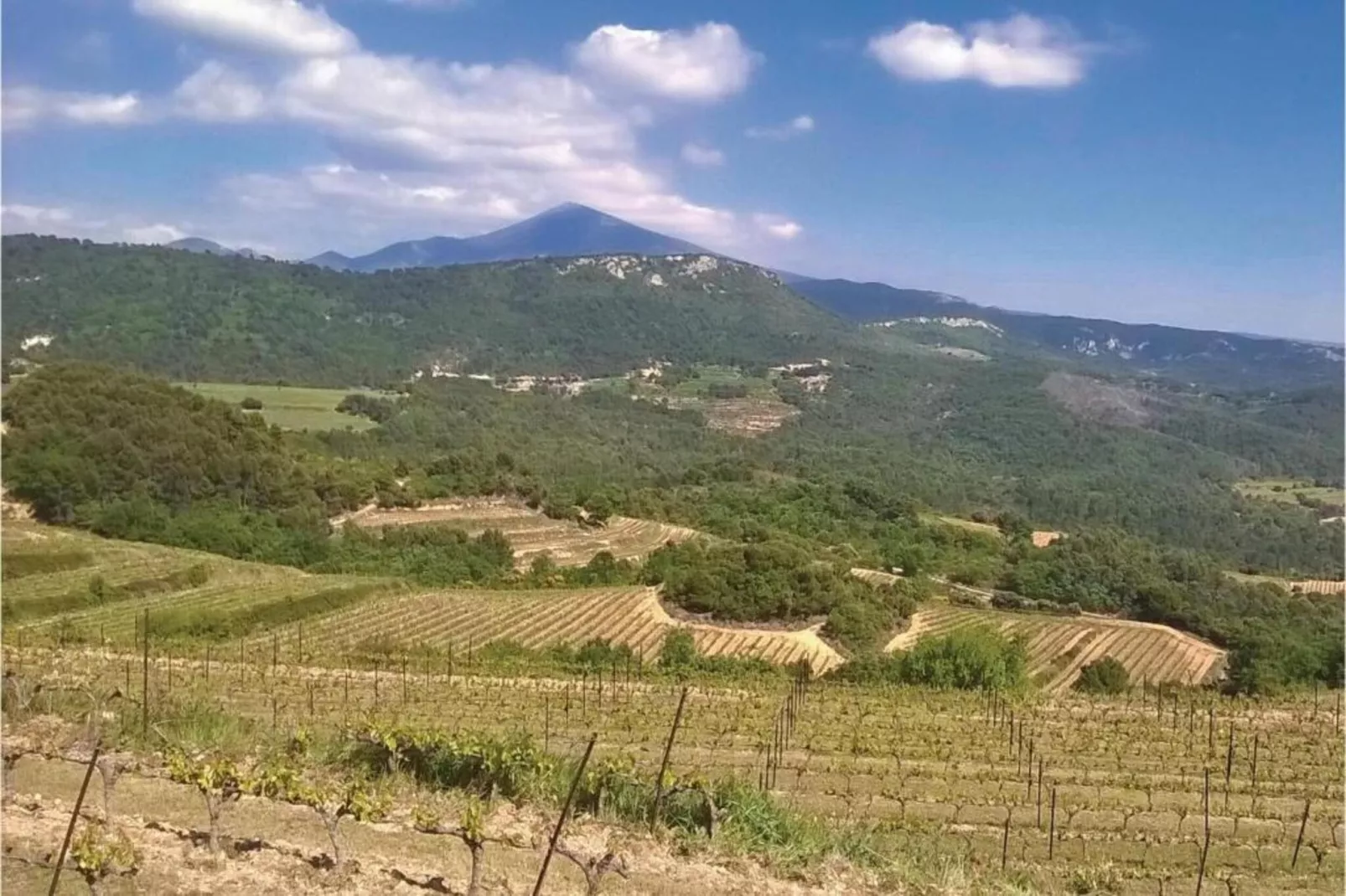 Les Demeures du Ventoux 3-Areas within 20km in summer