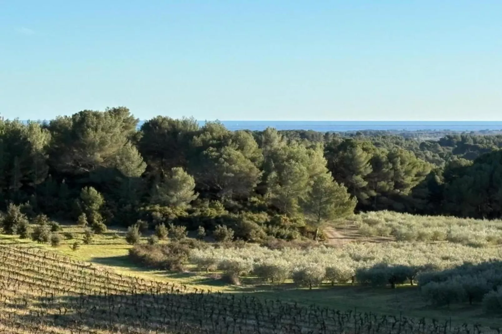 Mas des Trabesses-Areas within 20km in summer