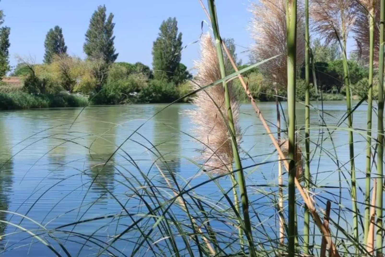 Le village Camarguais Les Gardians 1-Areas within 20km in summer