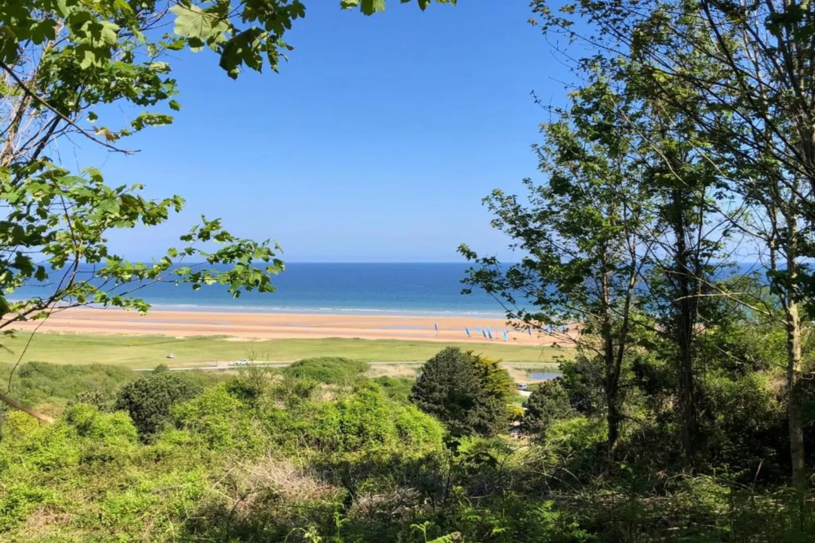 GUYBERNINE MER-Areas within 1km in summer