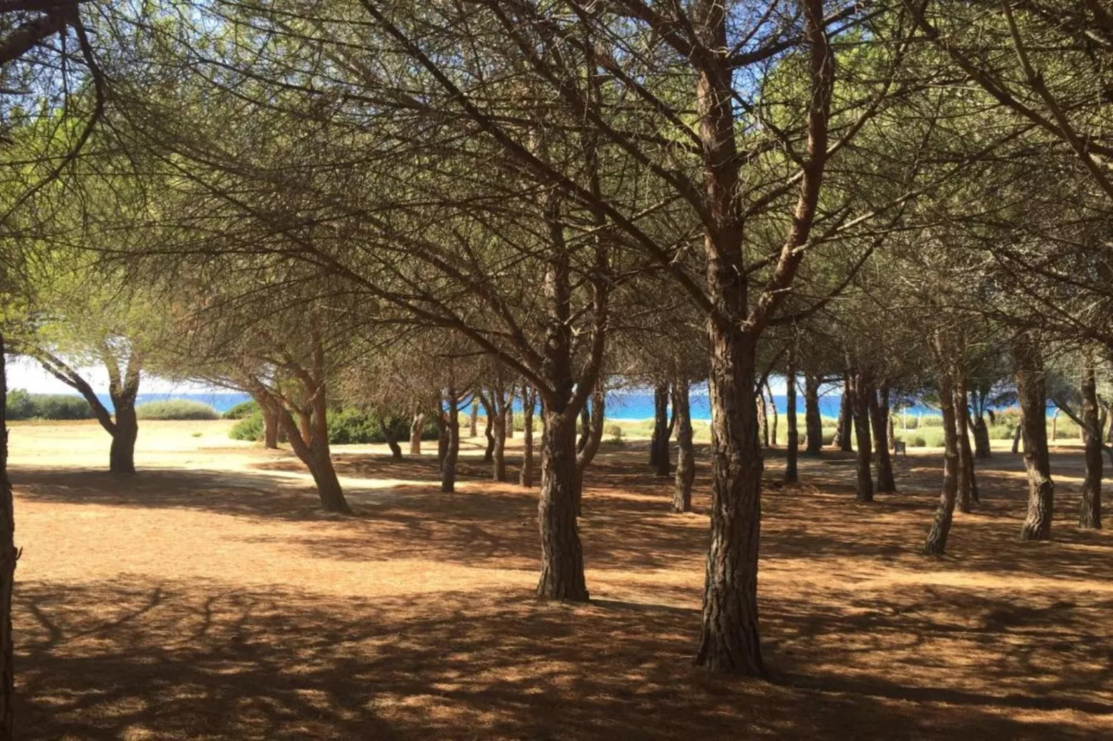 Résidence-Club les Villas Bel Godère 1-Zones été à 5 km