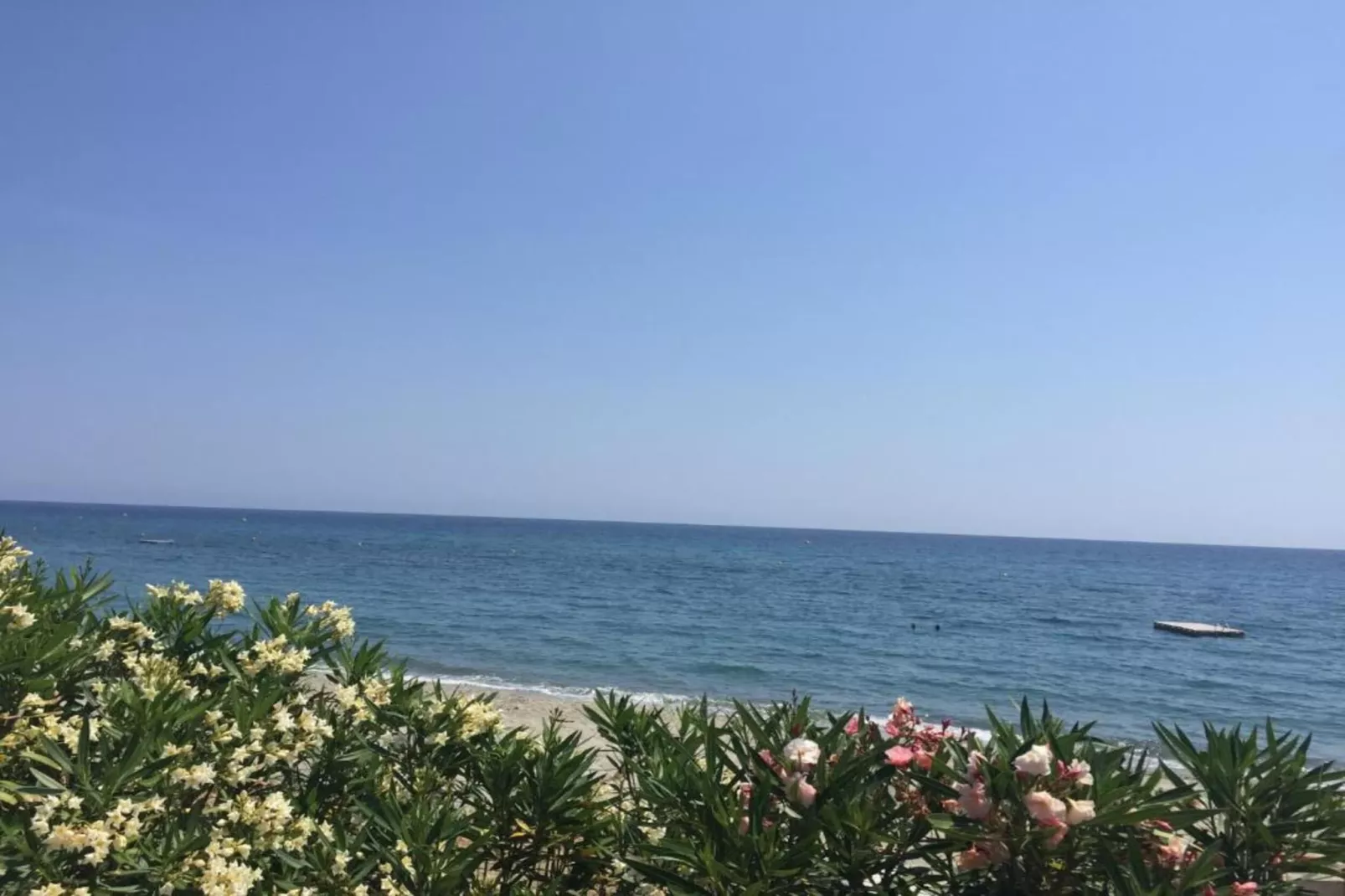 Indigo-Zones été à 1 km