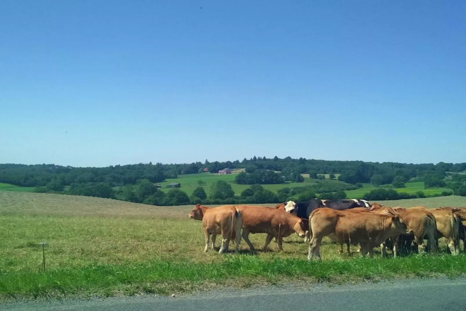 Le Haut Chambon-Zones été à 20 km