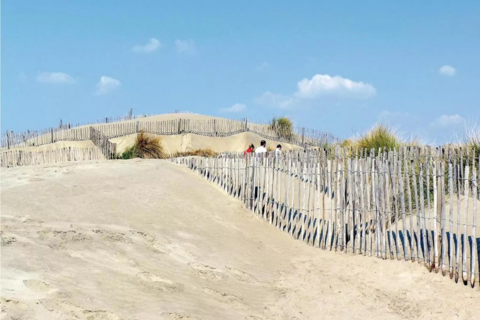 Fleur de Sel - Aigues Mortes 4-Areas within 20km in summer