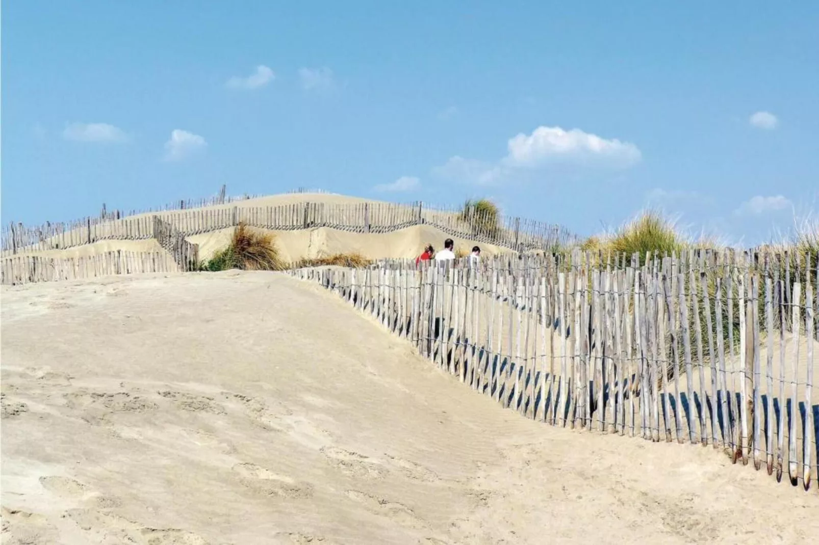 Fleur de Sel - Aigues Mortes 3-Areas within 20km in summer