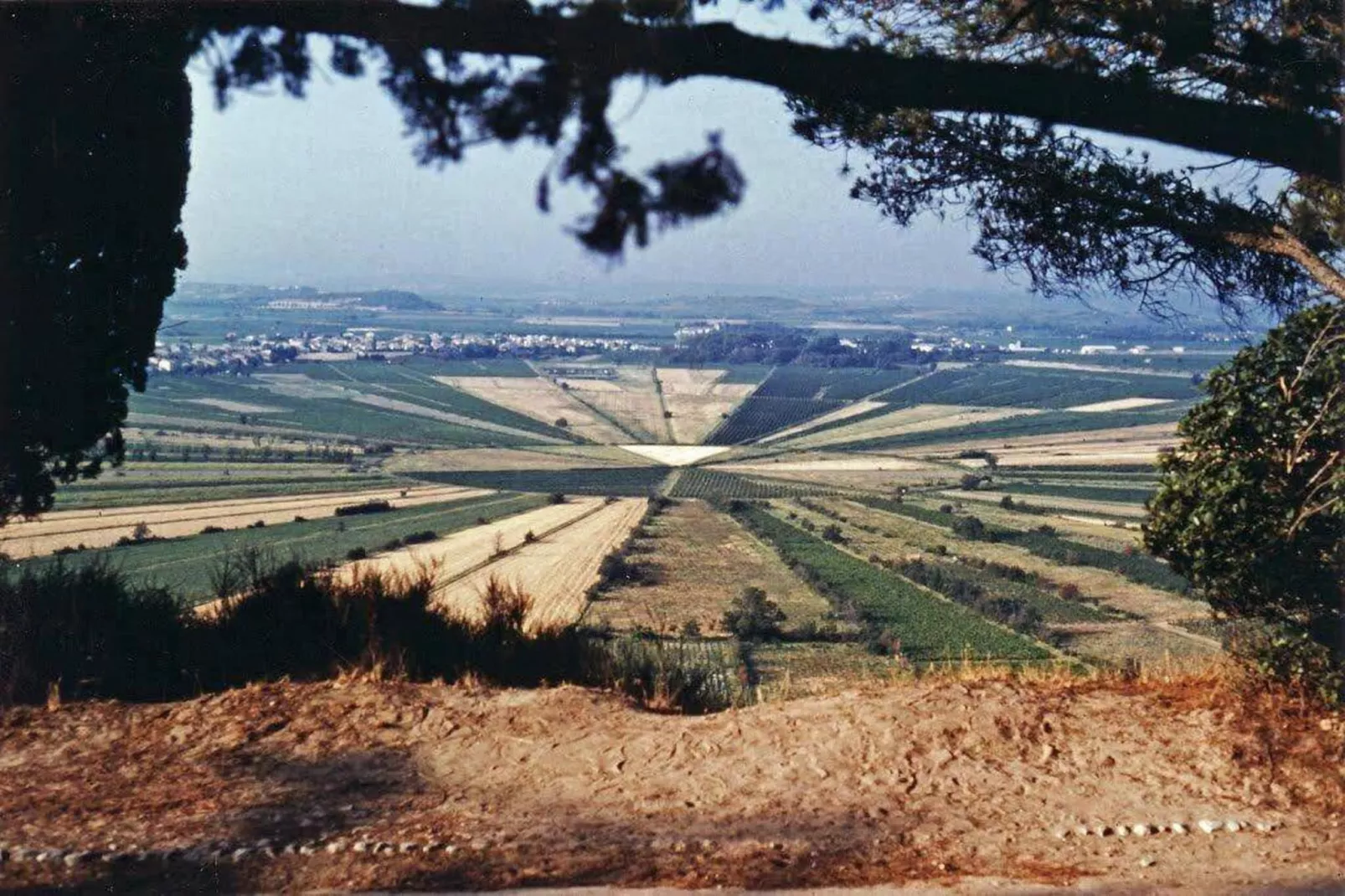 Le Domaine d'Enserune 2-Areas within 20km in summer