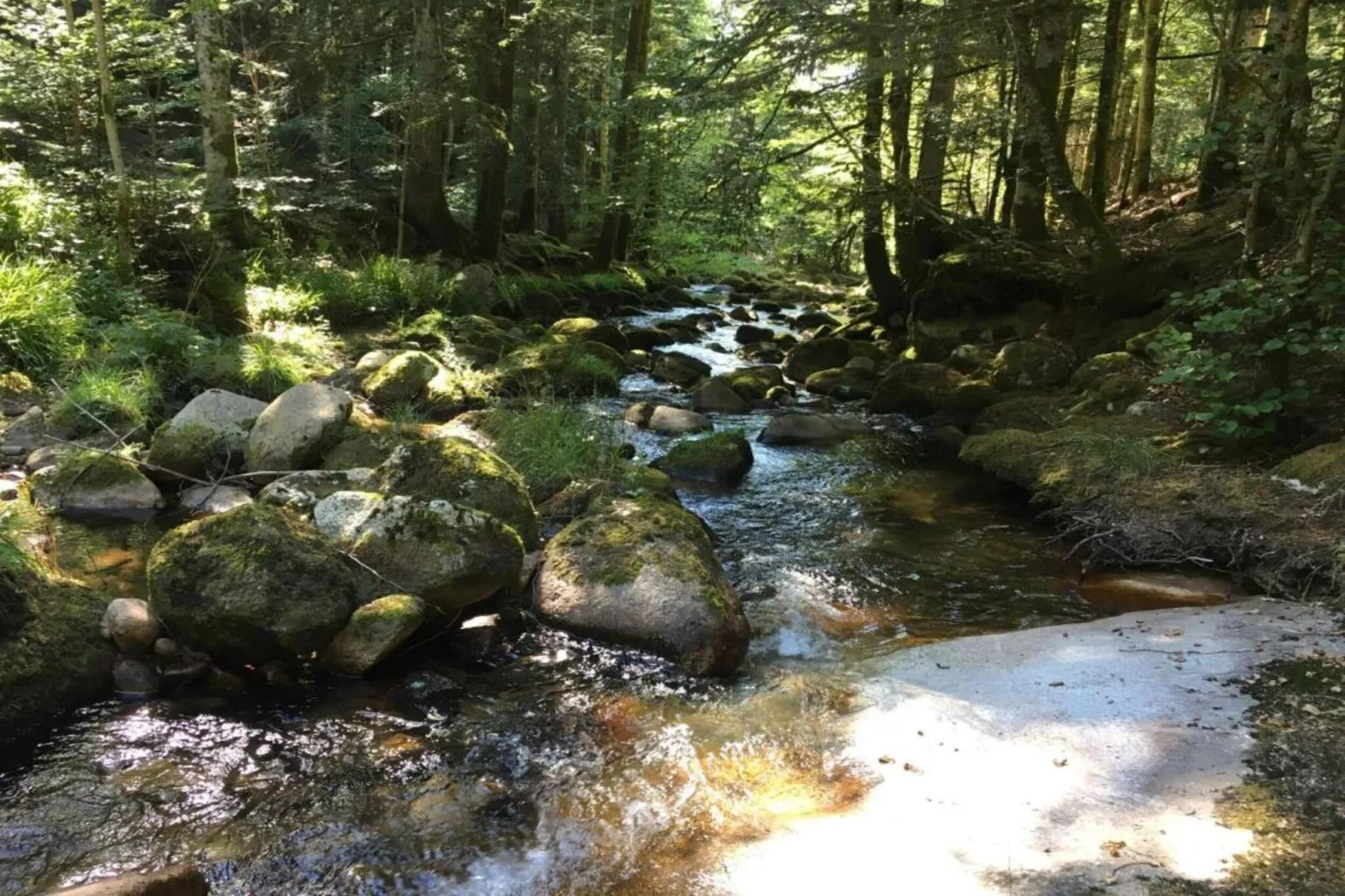 Gite -   SAUVAIN-Zones été à 5 km