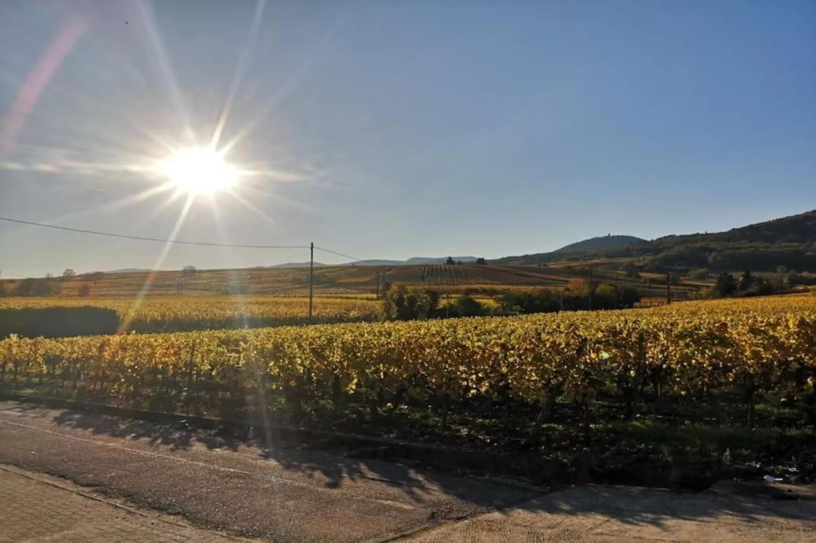 Le Domaine des Rois 1-Areas within 5km in summer