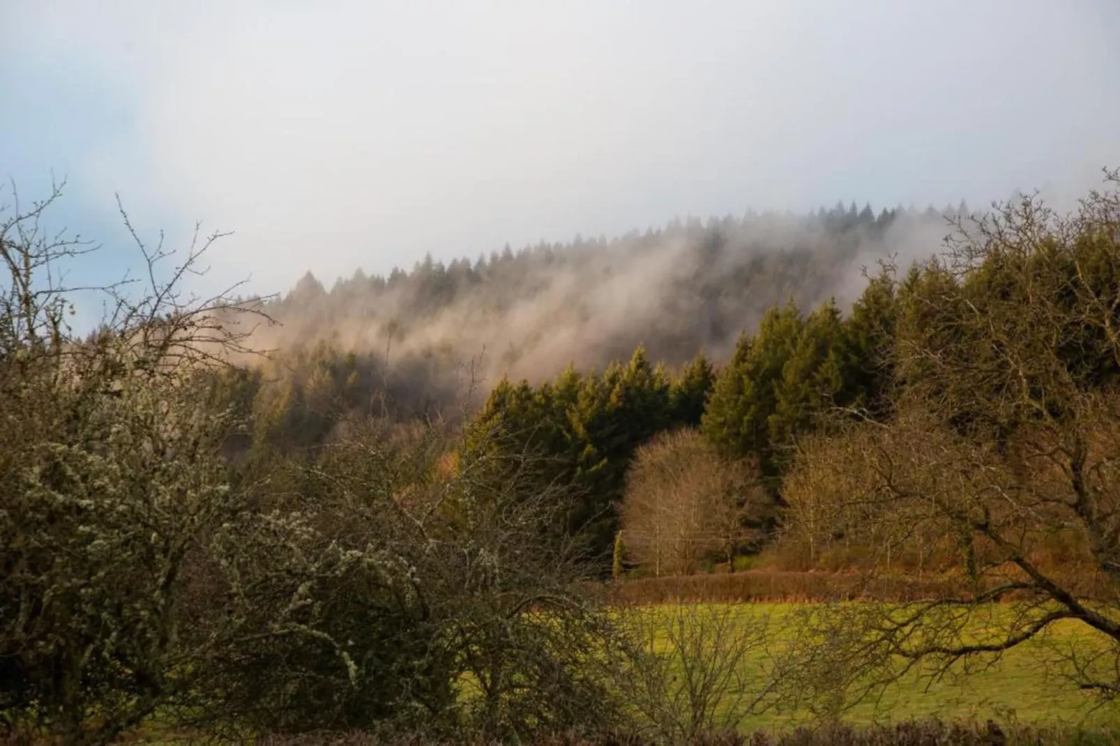 Gite 6 pers Bellevue - Le-Chardonneret-Zones été à 20 km