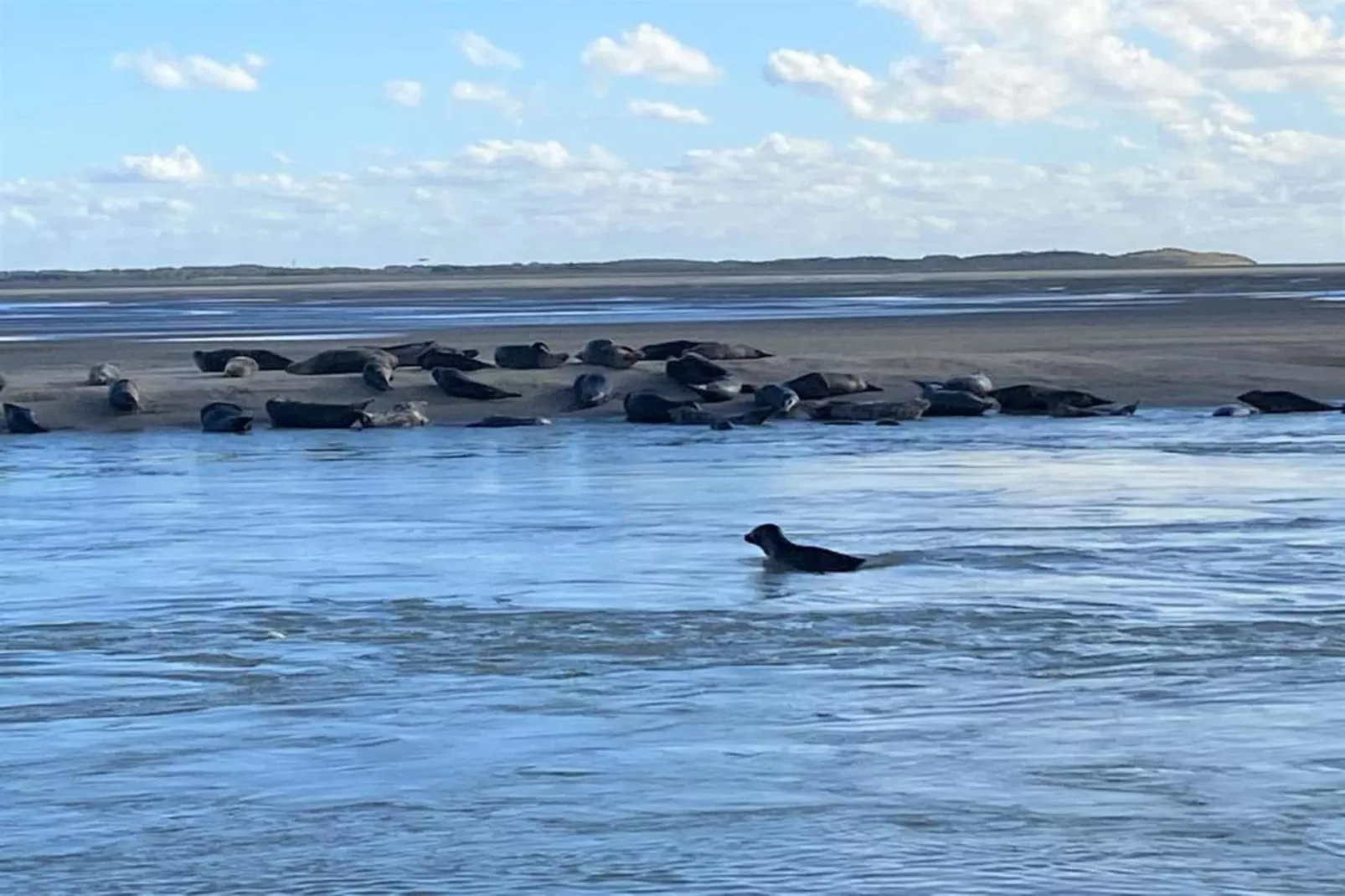 Résidence les Villas de la Baie 2-Zones été à 20 km