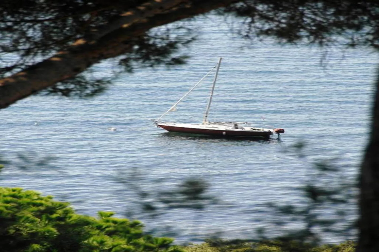 Residence Port Marine 3-Areas within 20km in summer