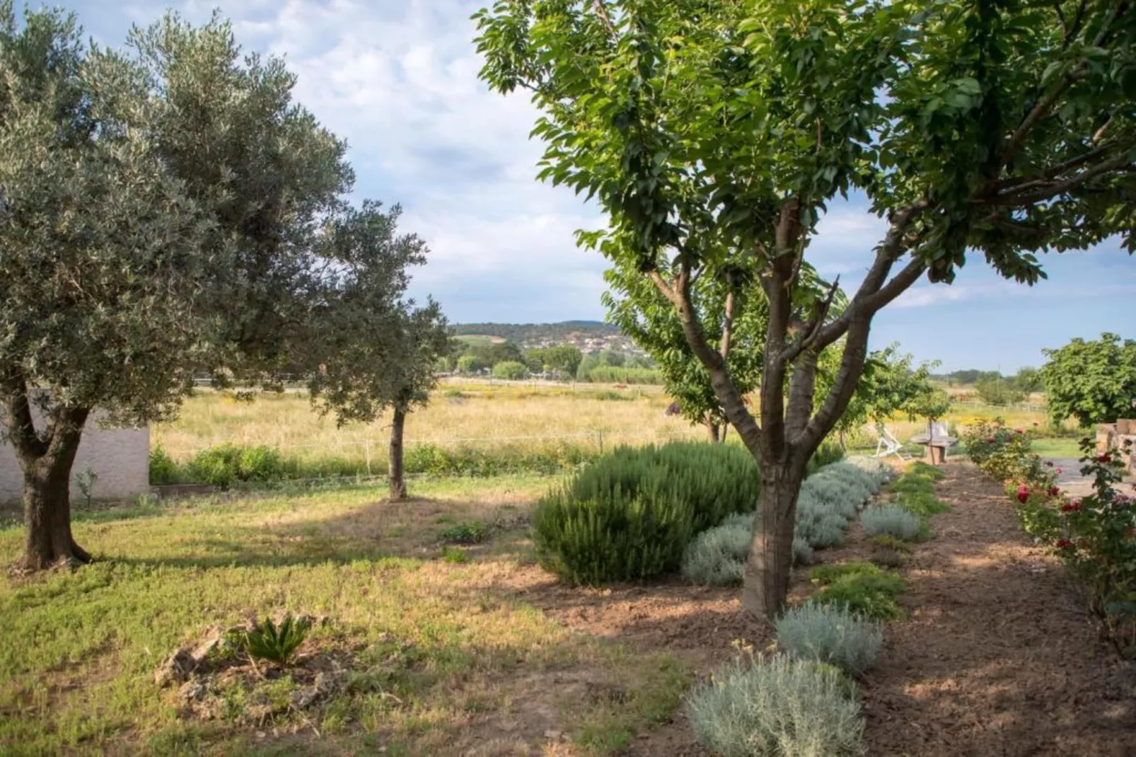 La Palmeraie 4-Areas within 5km in summer