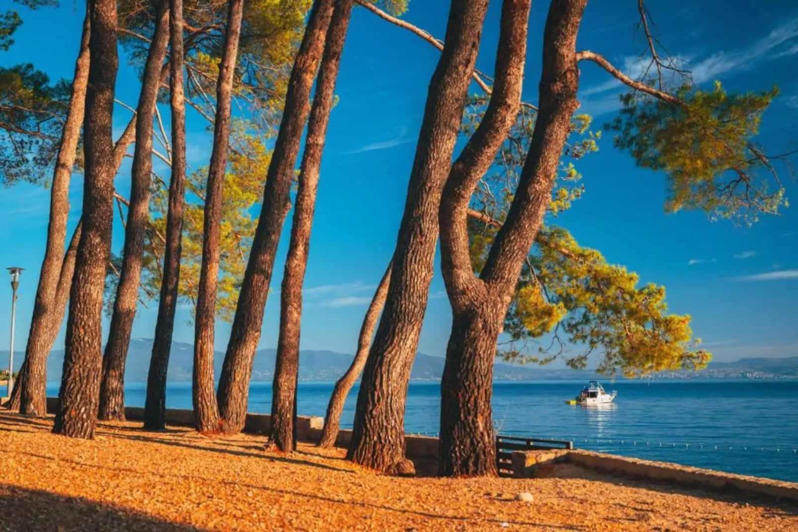 Apartment Svalina-Areas within 1km in summer