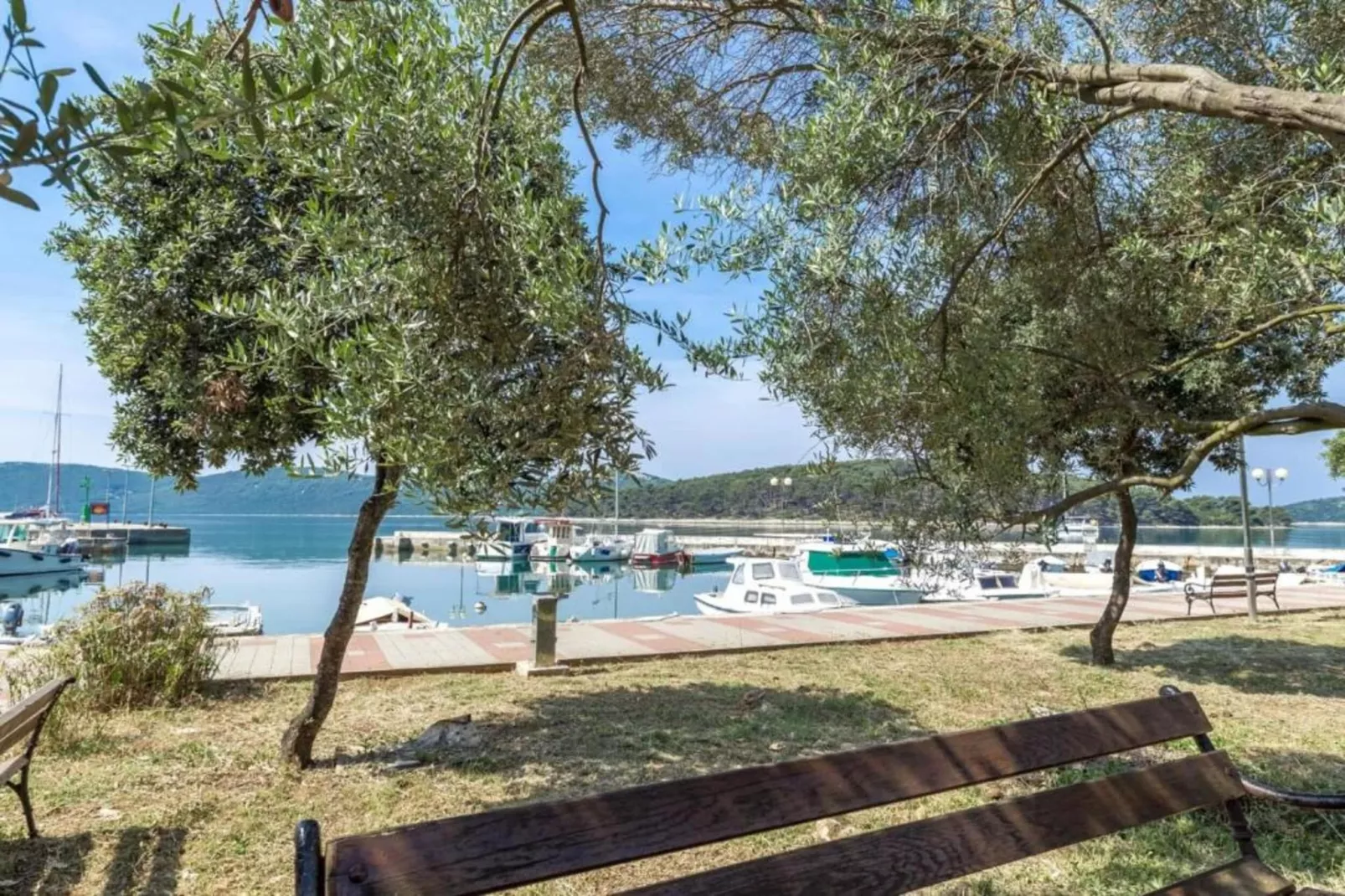 Corto Maltese-Areas within 1km in summer