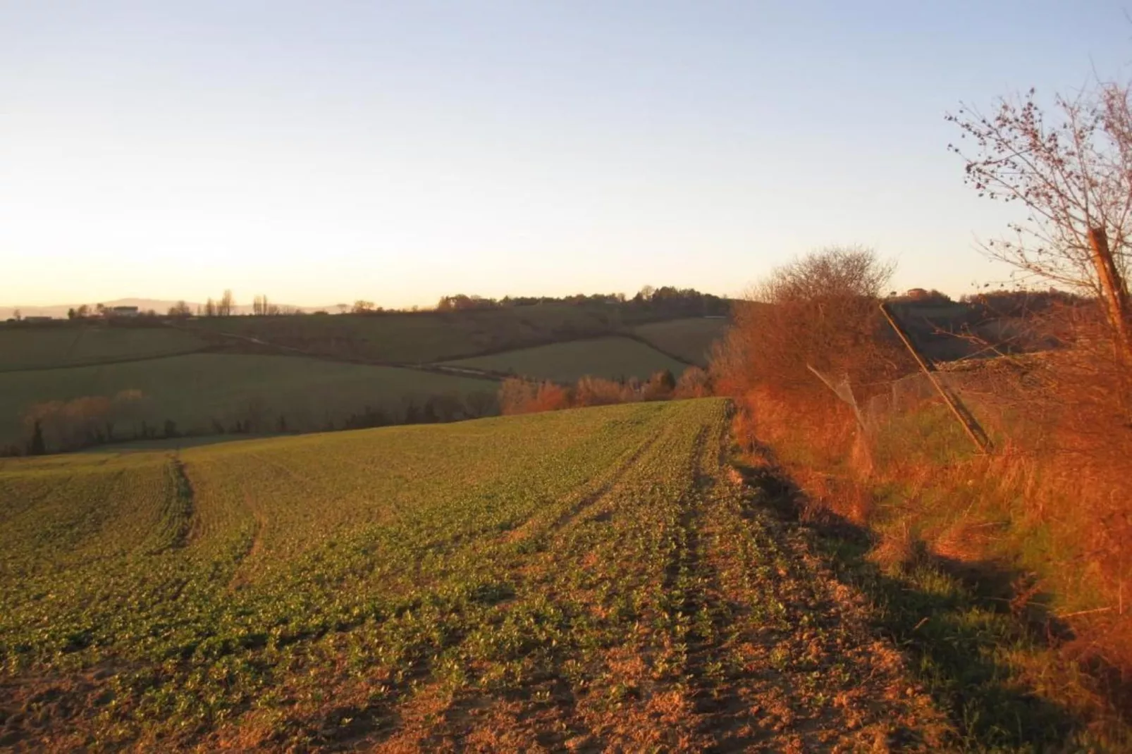 Villa Monte Acuto-Areas within 5km in summer