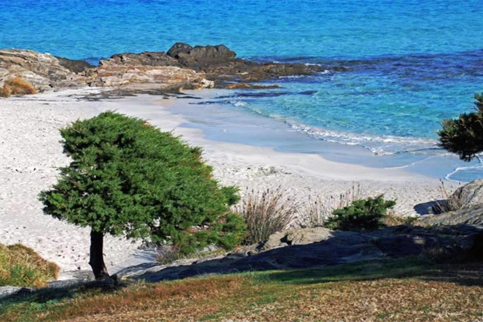 Capo Falcone Bilo4 Premium-Areas within 20km in summer