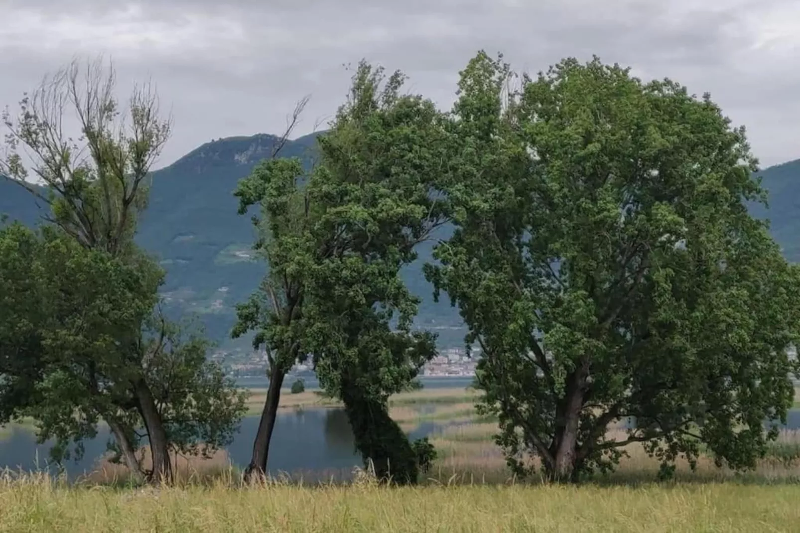 Casa dei Nonni-Areas within 20km in summer