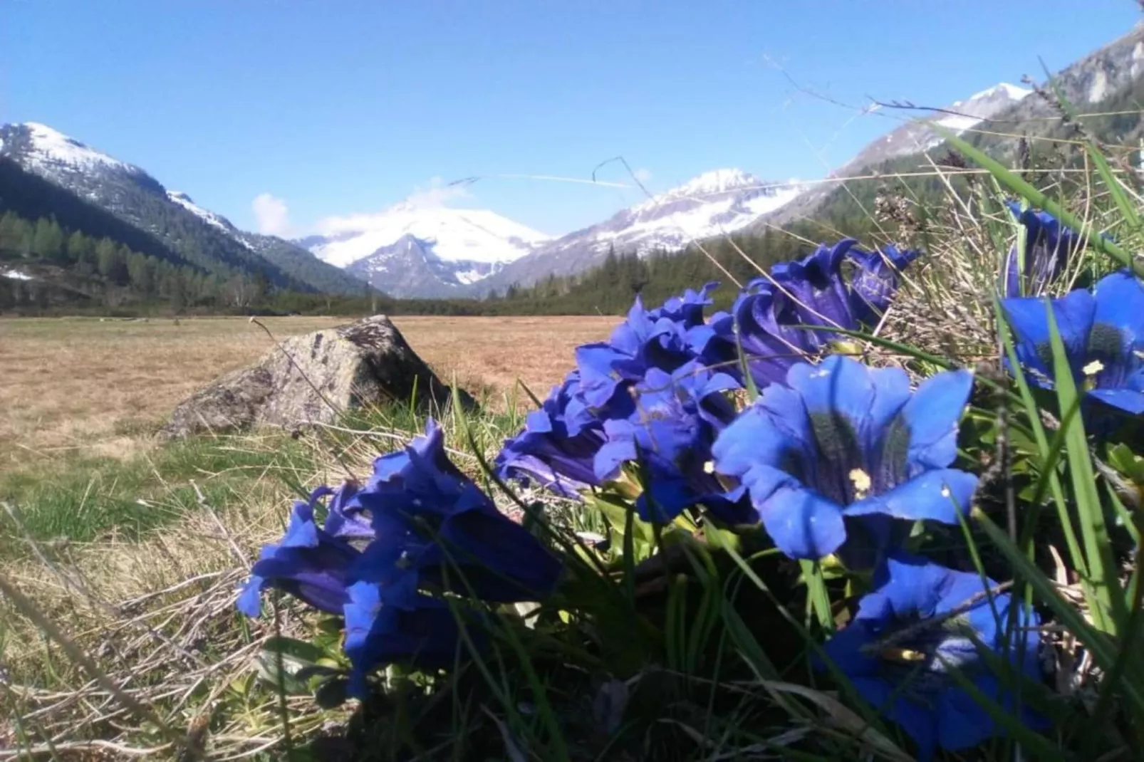 Ronco Frati-Areas within 20km in summer
