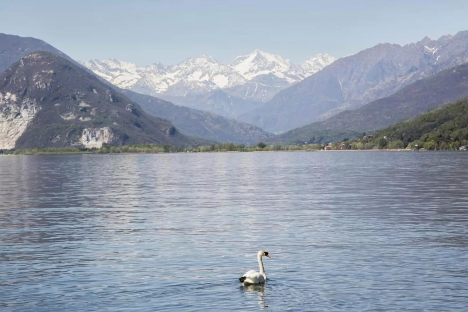 Cielo d'Italia-Areas within 20km in summer