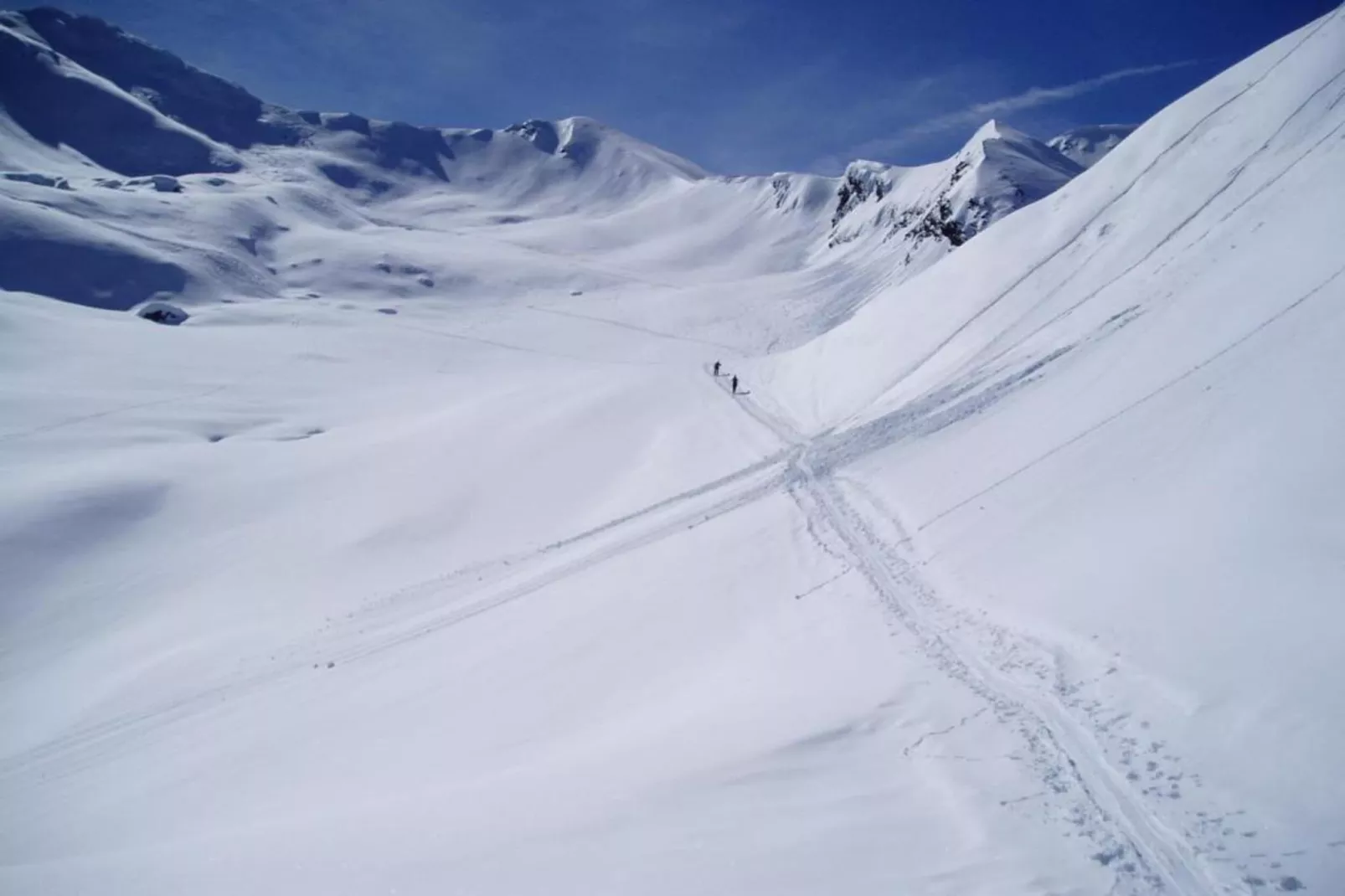 Rosalpina-Area within 20km in winter