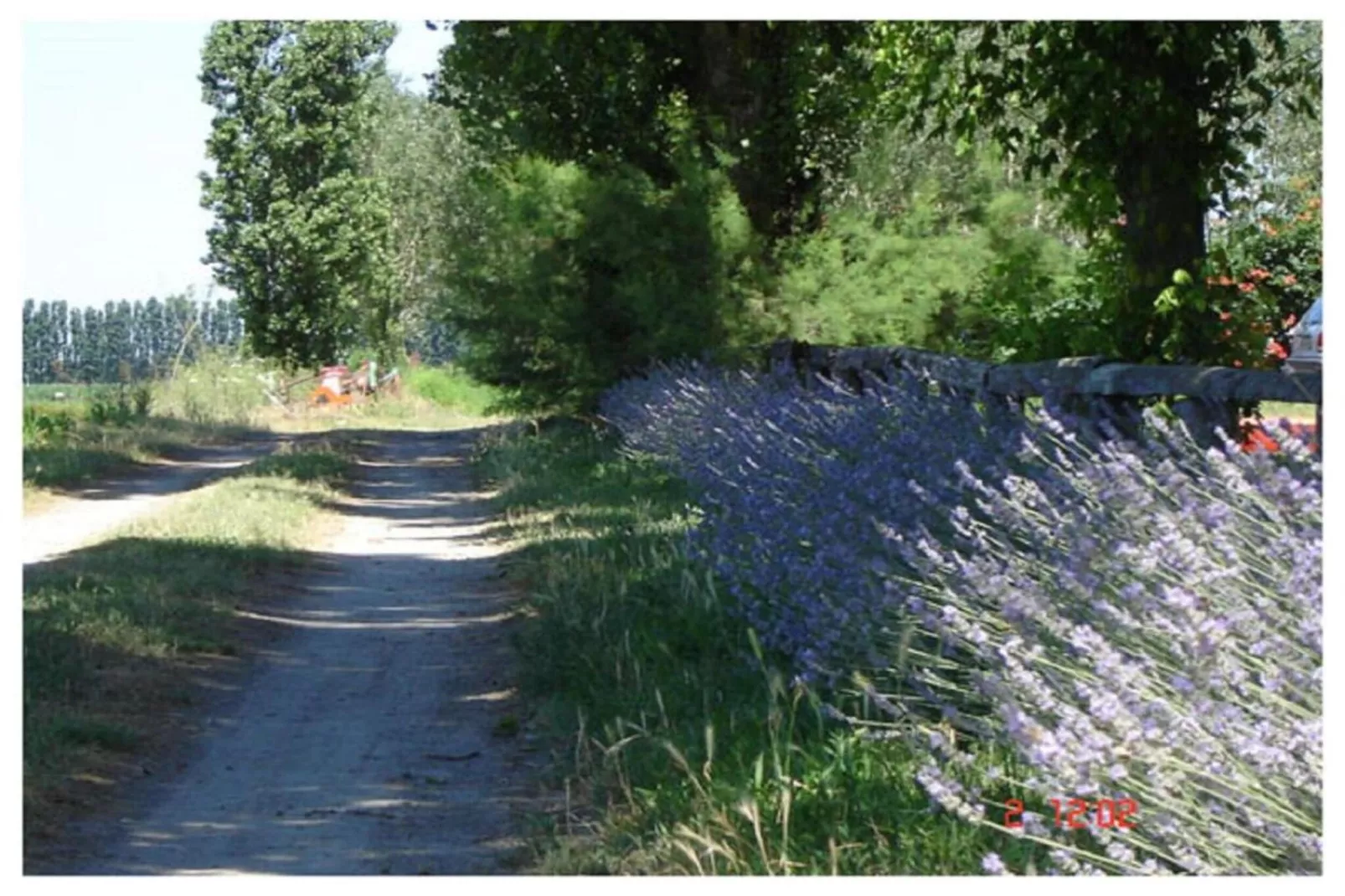 Oasi Bianca-Areas within 20km in summer