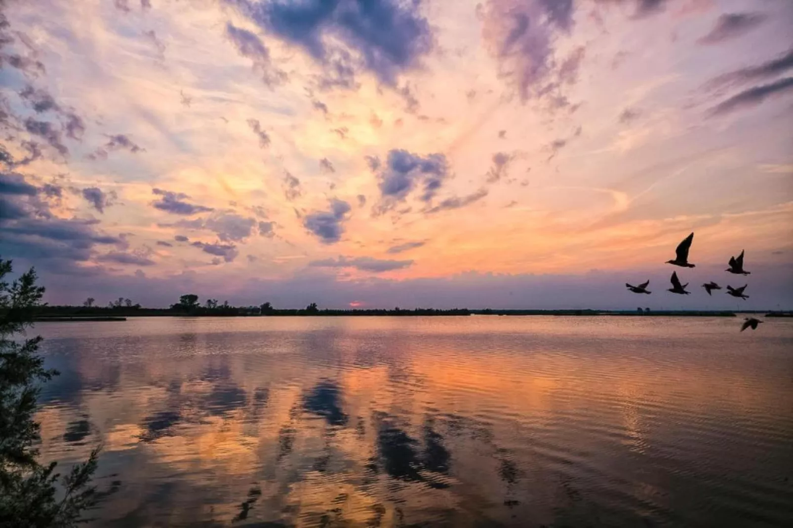 Ceseta 3 - Areas within 1km in summer