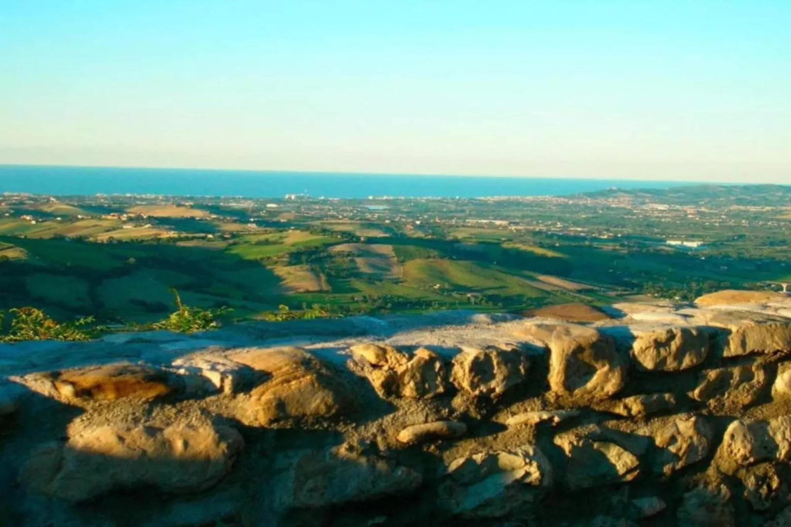 Sandro-Areas within 20km in summer
