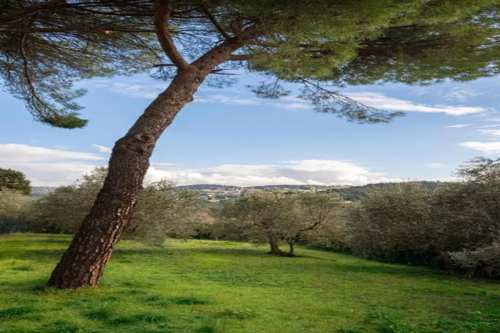 I Tini-Areas within 20km in summer
