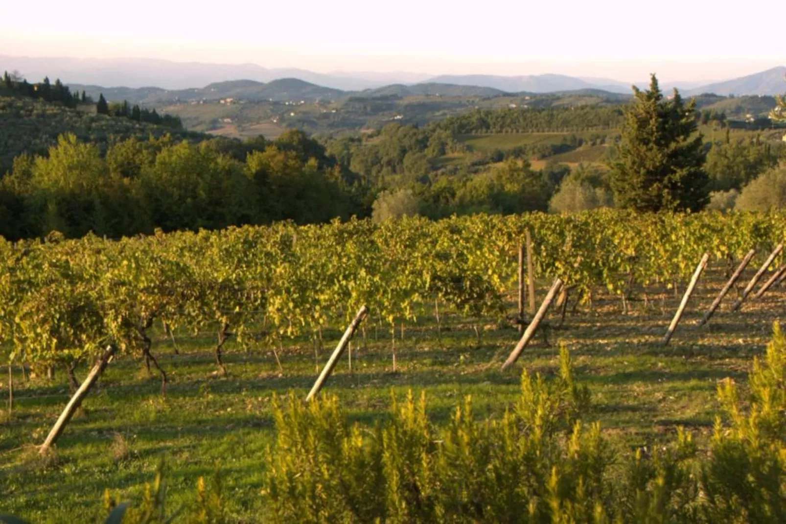 Casalini 2-Areas within 5km in summer