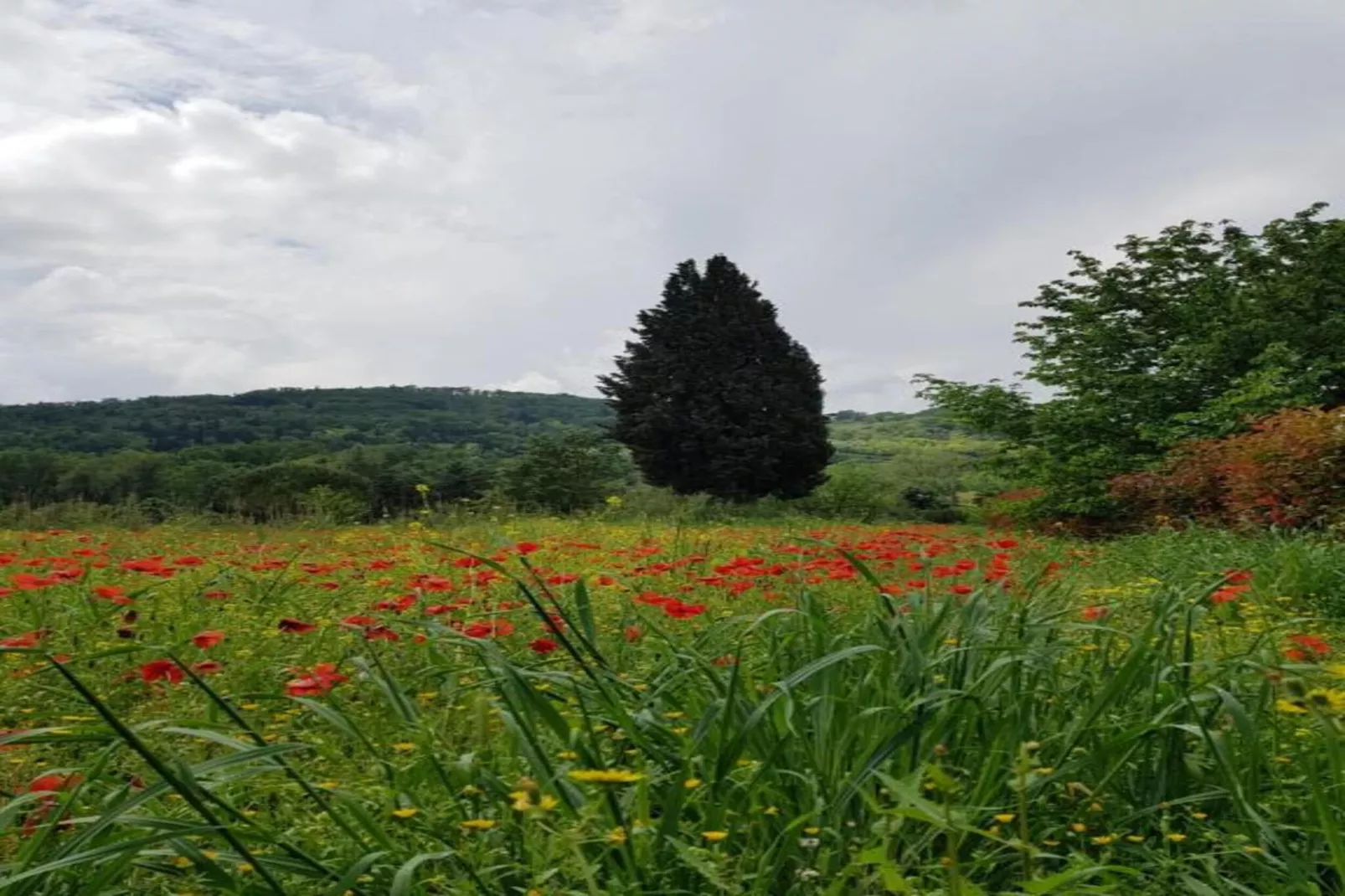 Chianti Village Morrocco T3-Areas within 5km in summer