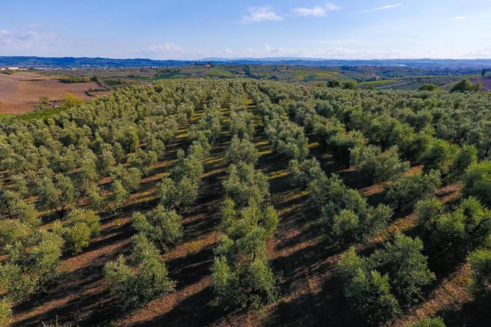 Leonardo-Areas within 5km in summer