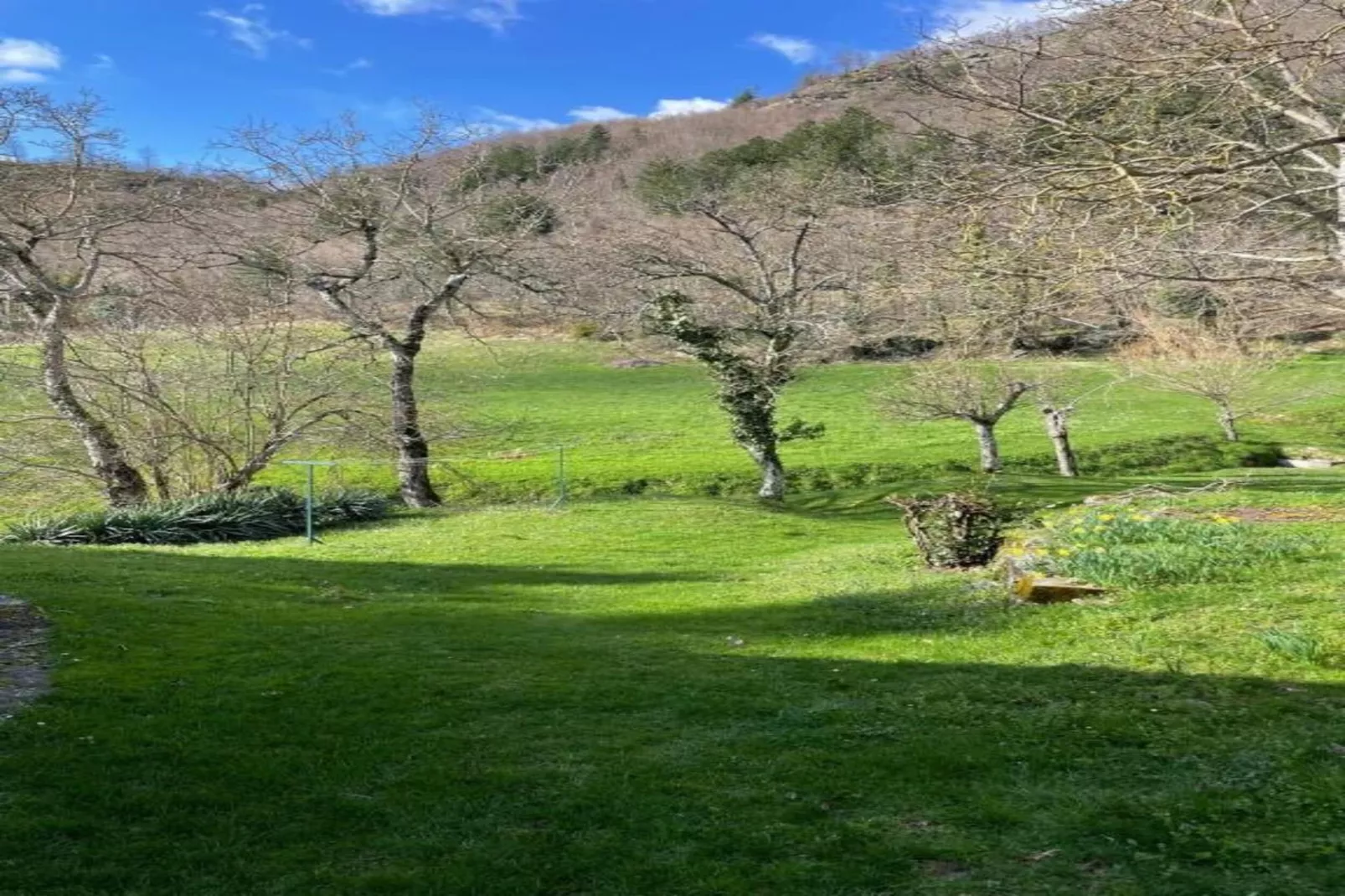 Noce-Areas within 20km in summer