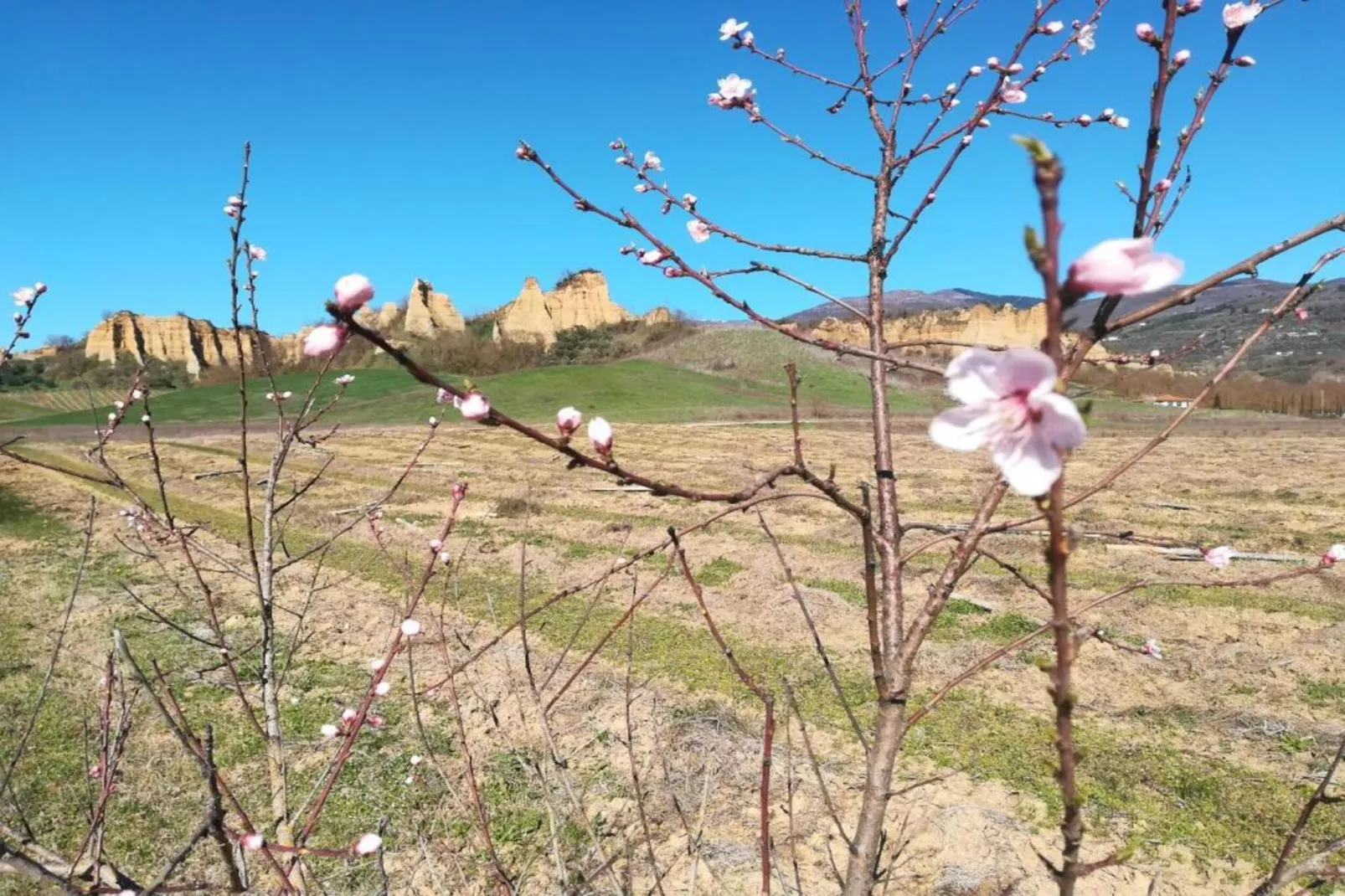 Podere Pulicciano Orciaia-Areas within 5km in summer