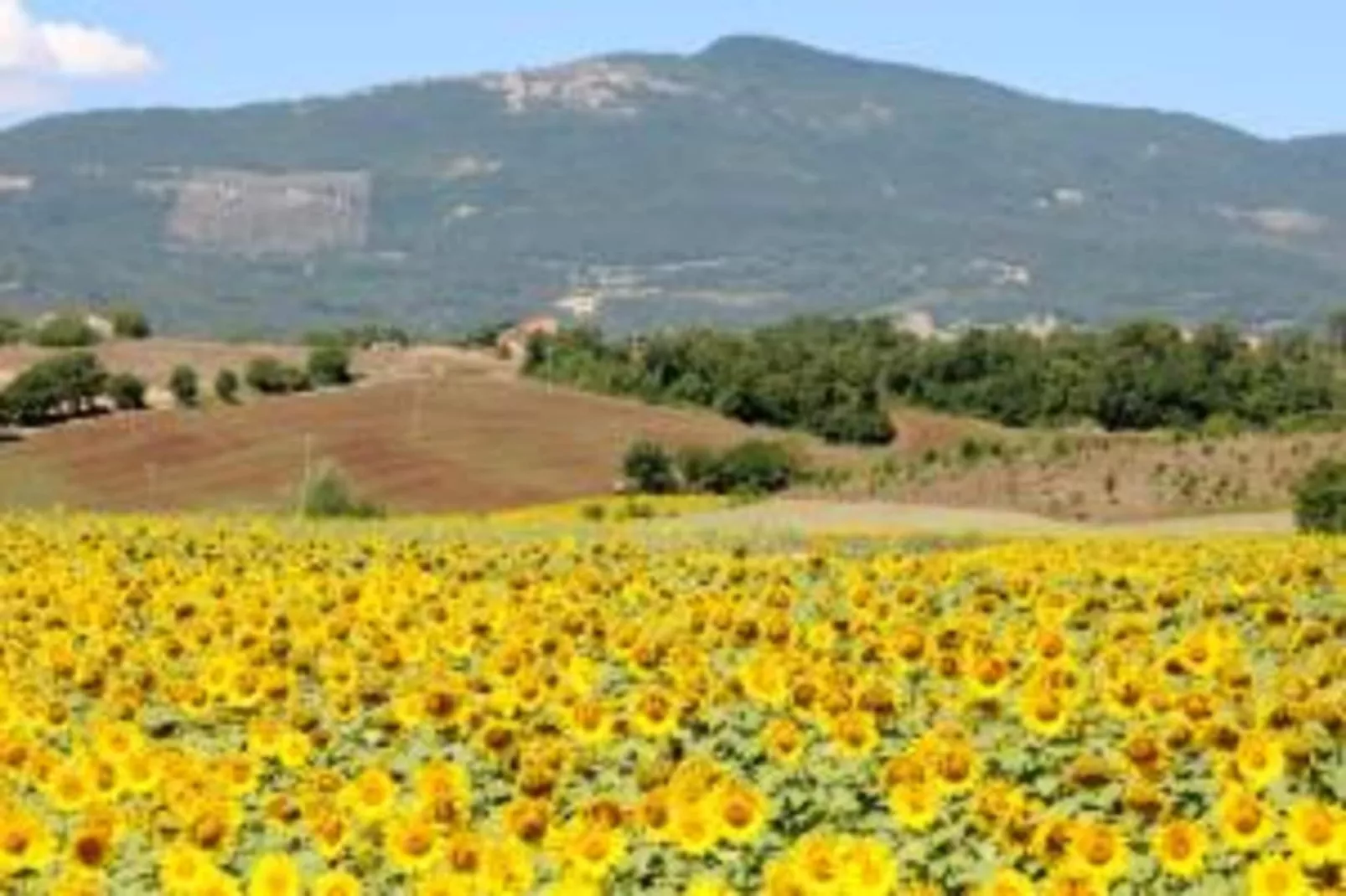 Poggio Casale-Areas within 20km in summer