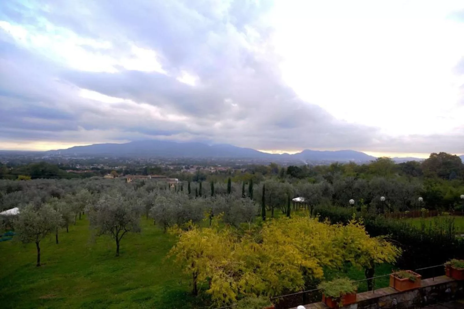 Cipressa-Areas within 20km in summer