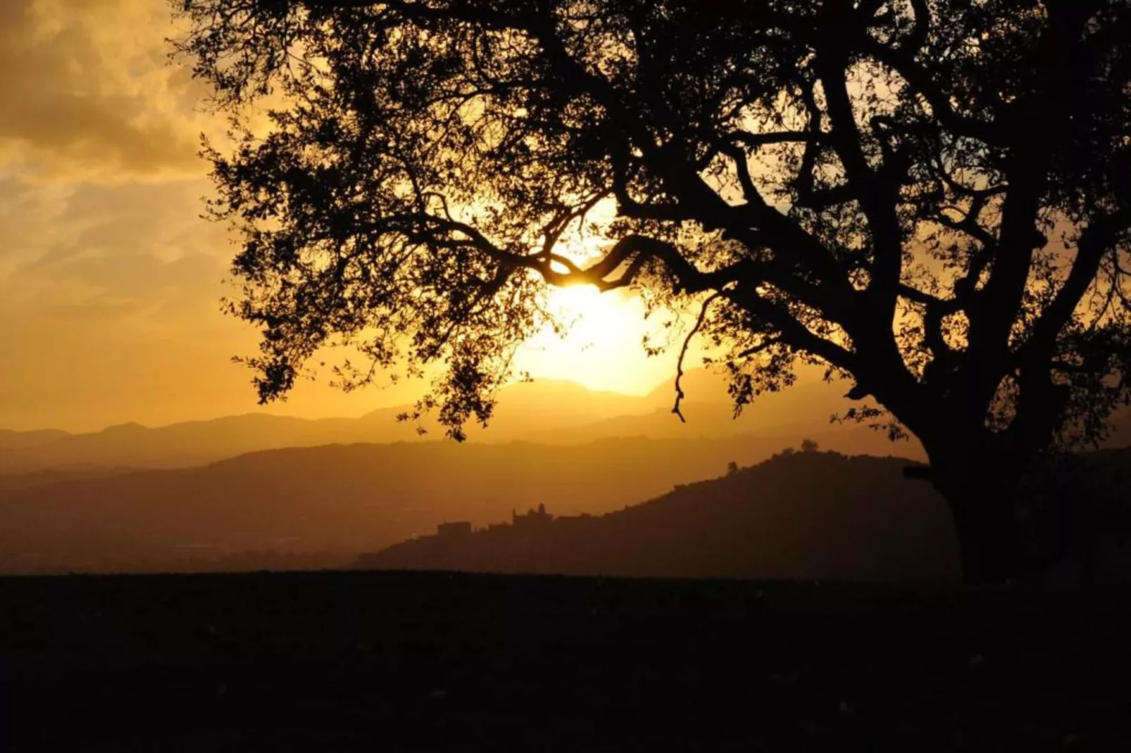 Collina Lagomare-Areas within 20km in summer