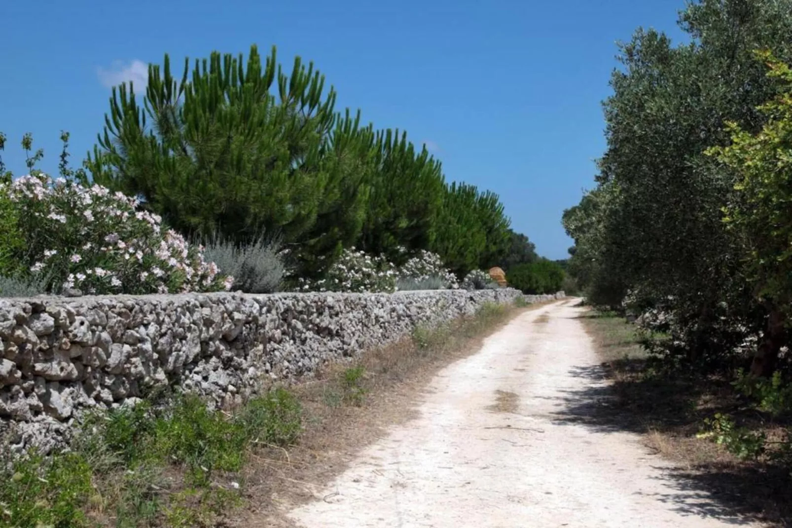 Tenuta San Francesco 3-Gebiete Sommer 20 km