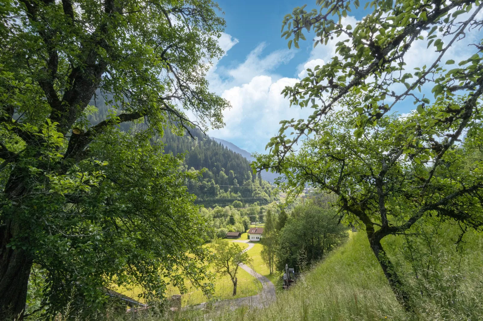Haus Lukan Groß-View summer