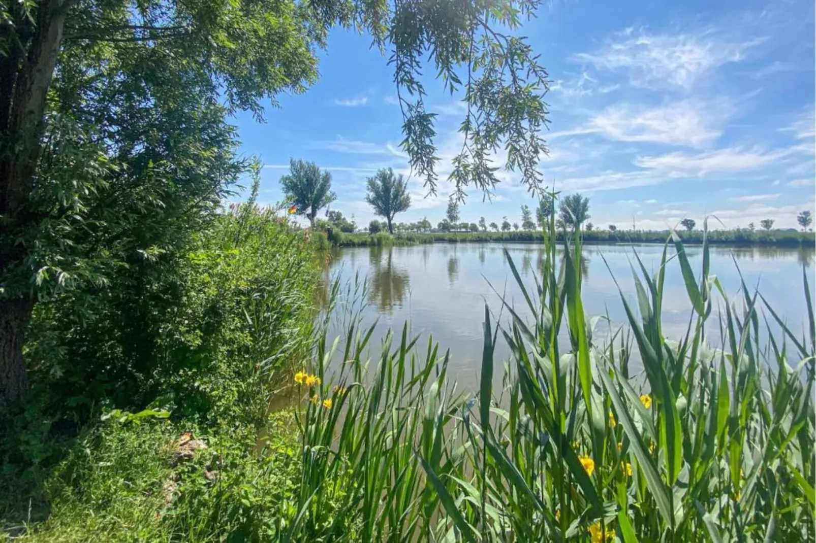 Another Day in Paradise-Areas within 20km in summer