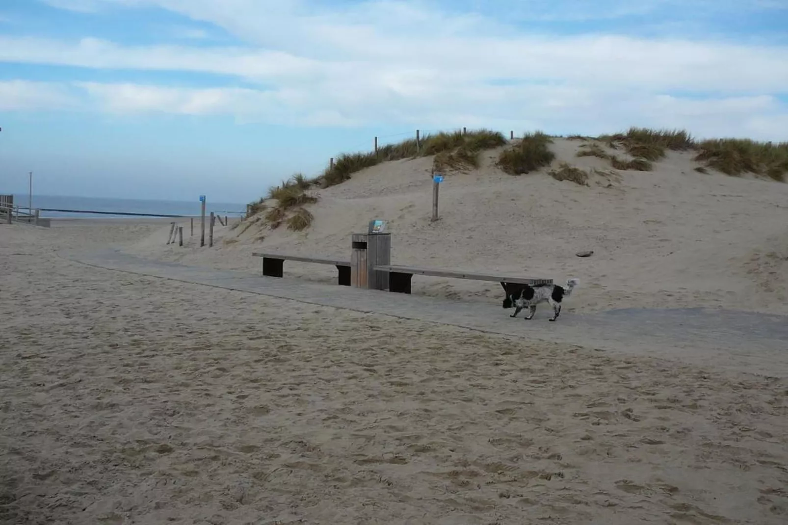 Strandslag 115-Areas within 20km in summer