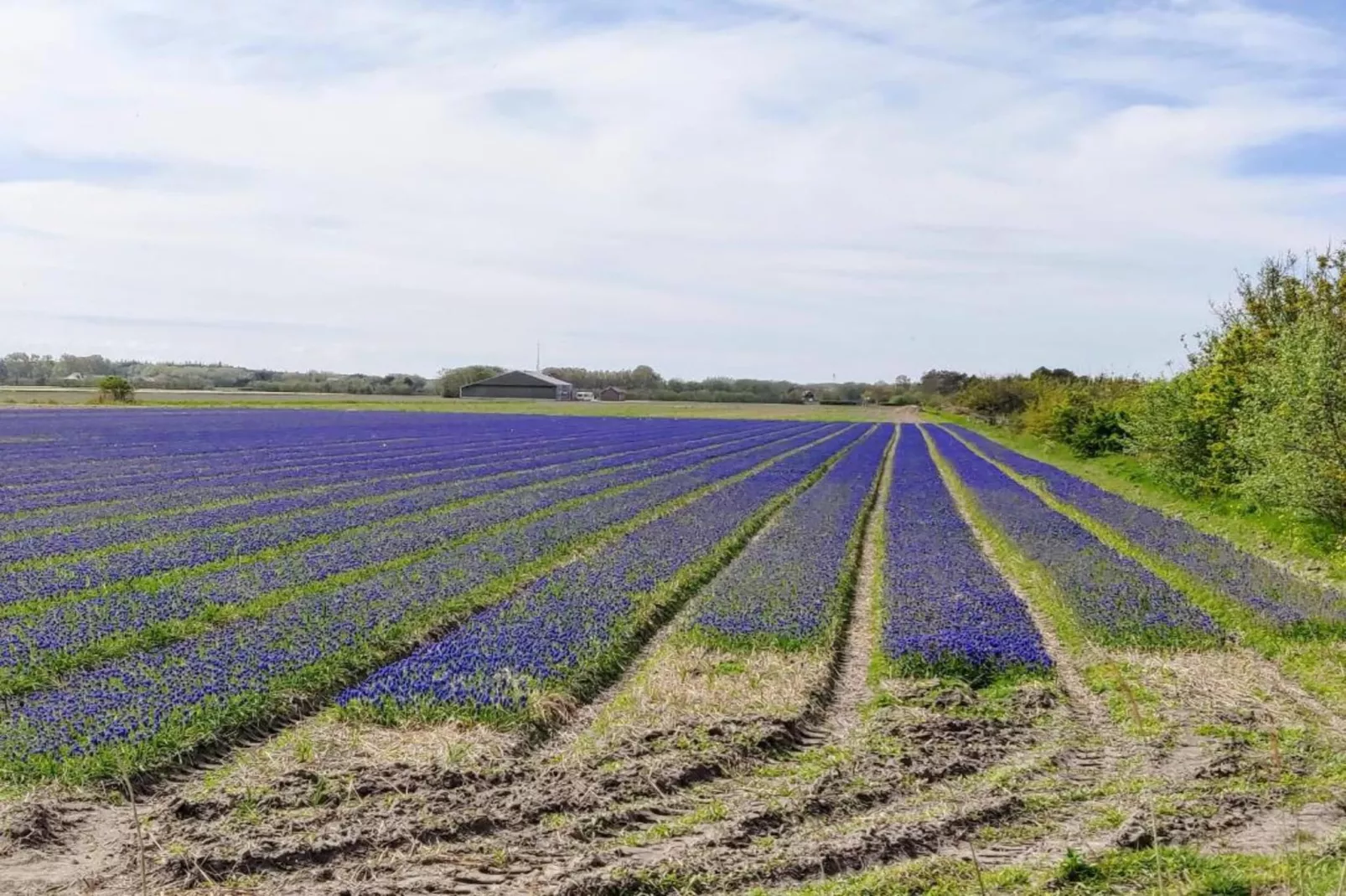 Kustpark Texel 2-Gebiete Sommer 20 km