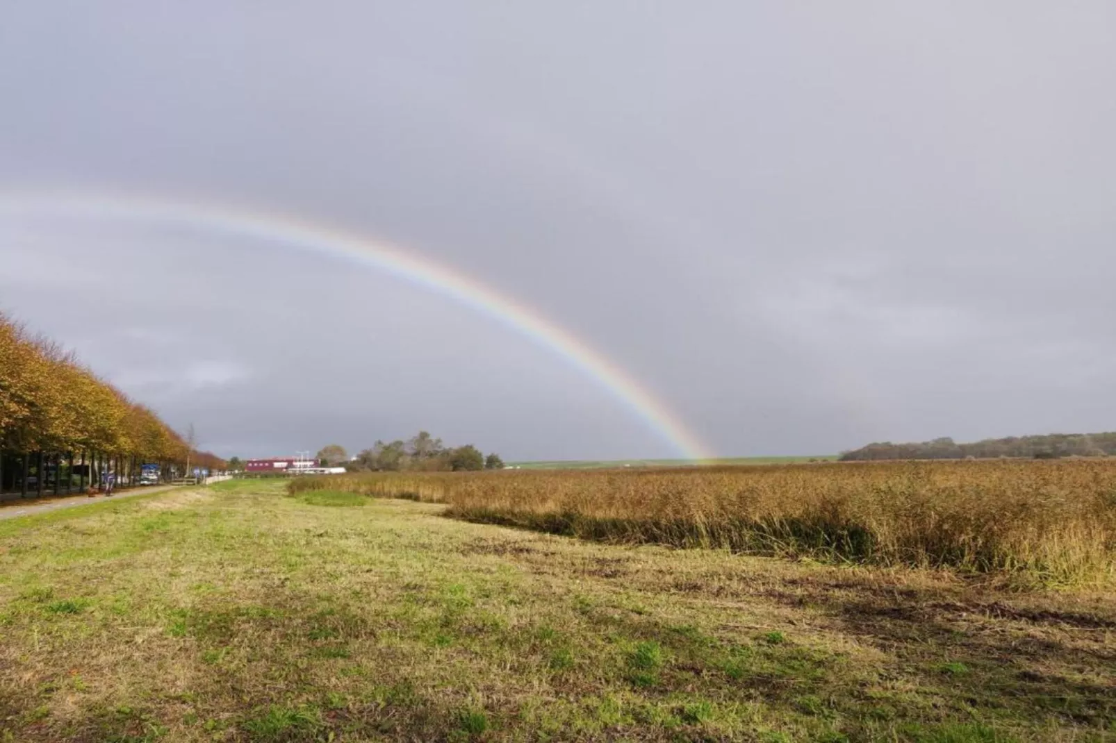 Kustpark Texel 3-Gebiete Sommer 20 km