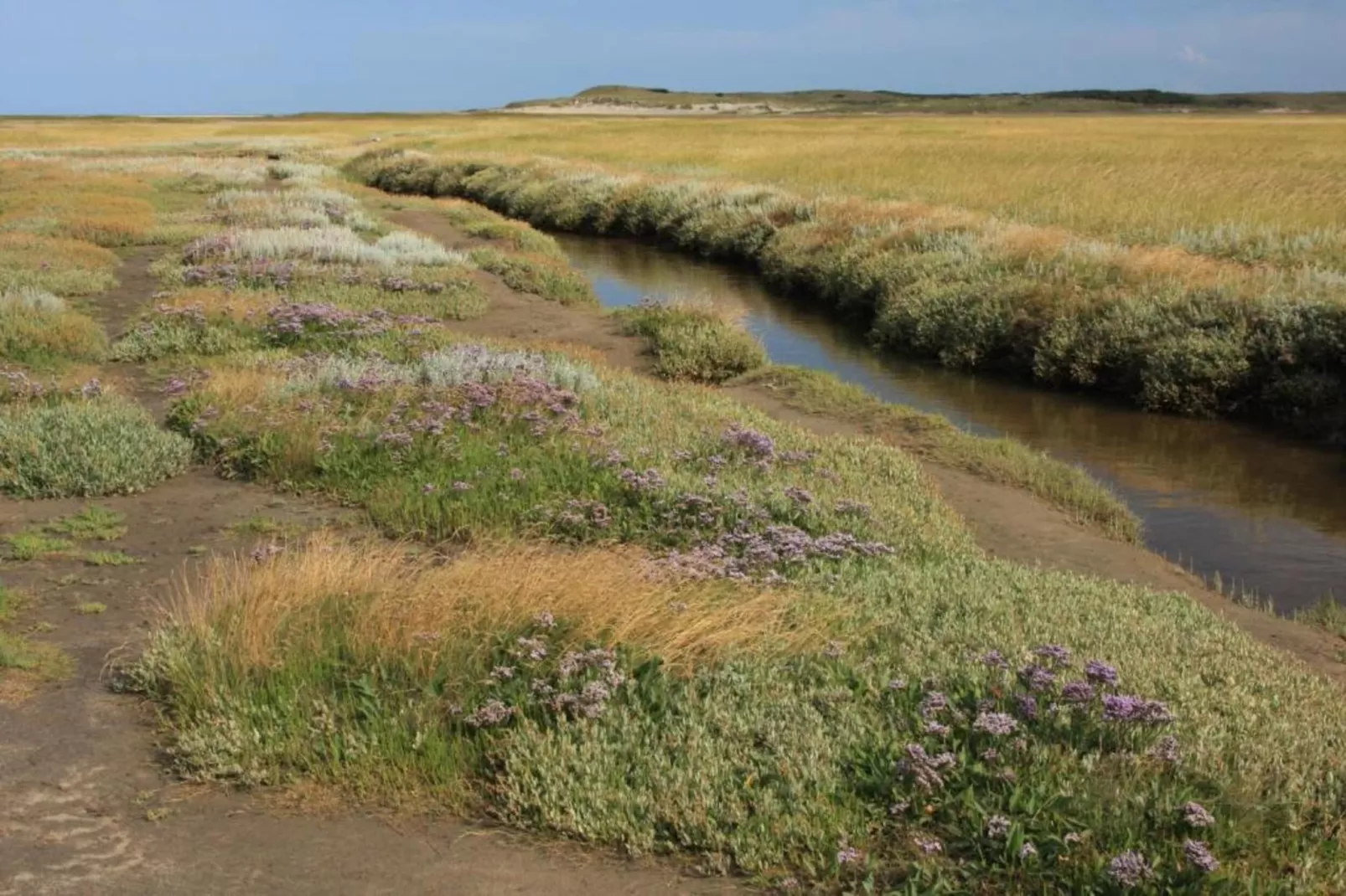 Residentie Californië 4-Gebiete Sommer 20 km