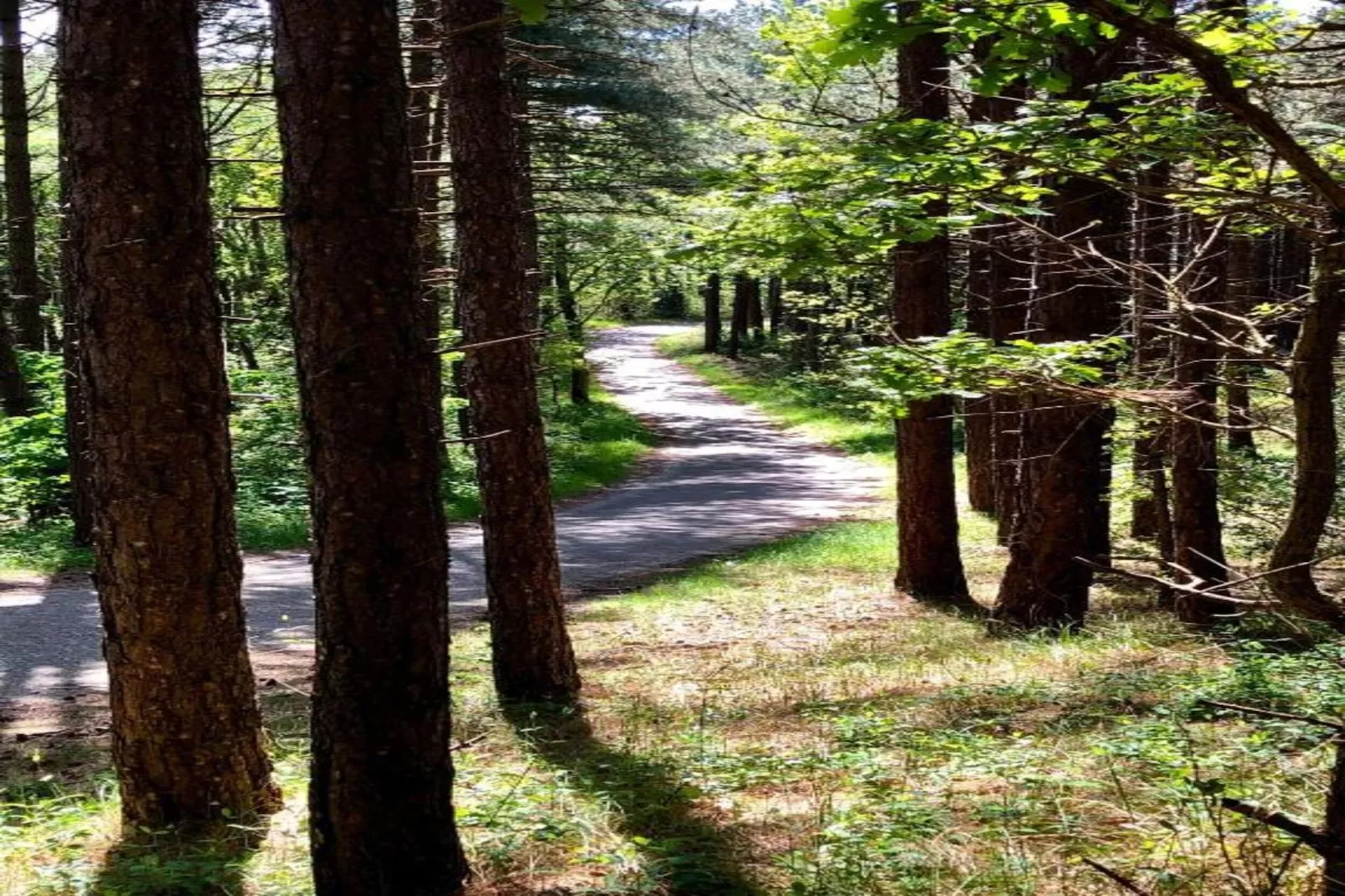 De Beukelaar 4 pers-Areas within 20km in summer