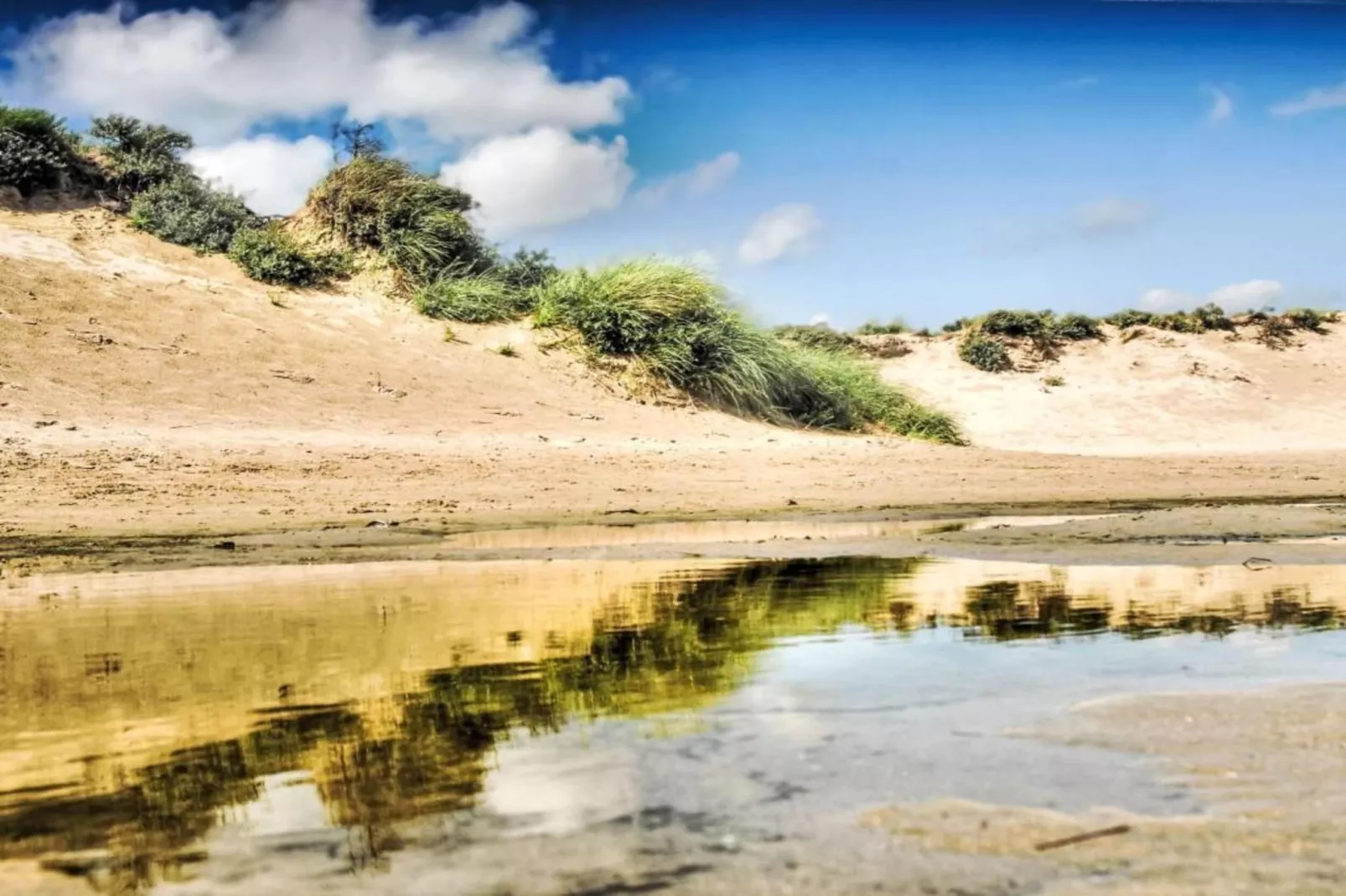 Bungalowpark 't Lappennest 2-Areas within 5km in summer