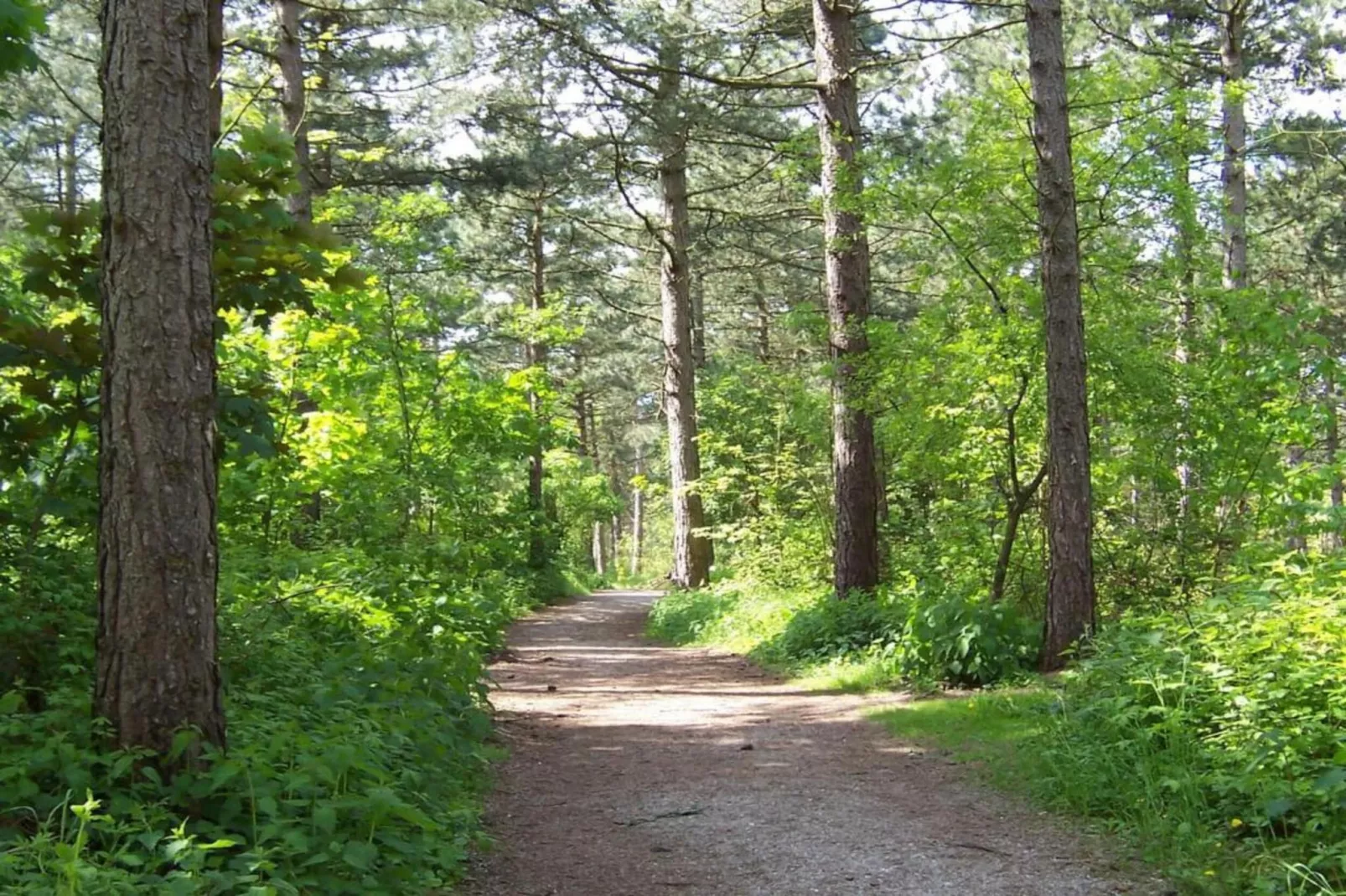 Bungalowpark de Gouden Spar 5-Zones été à 5 km