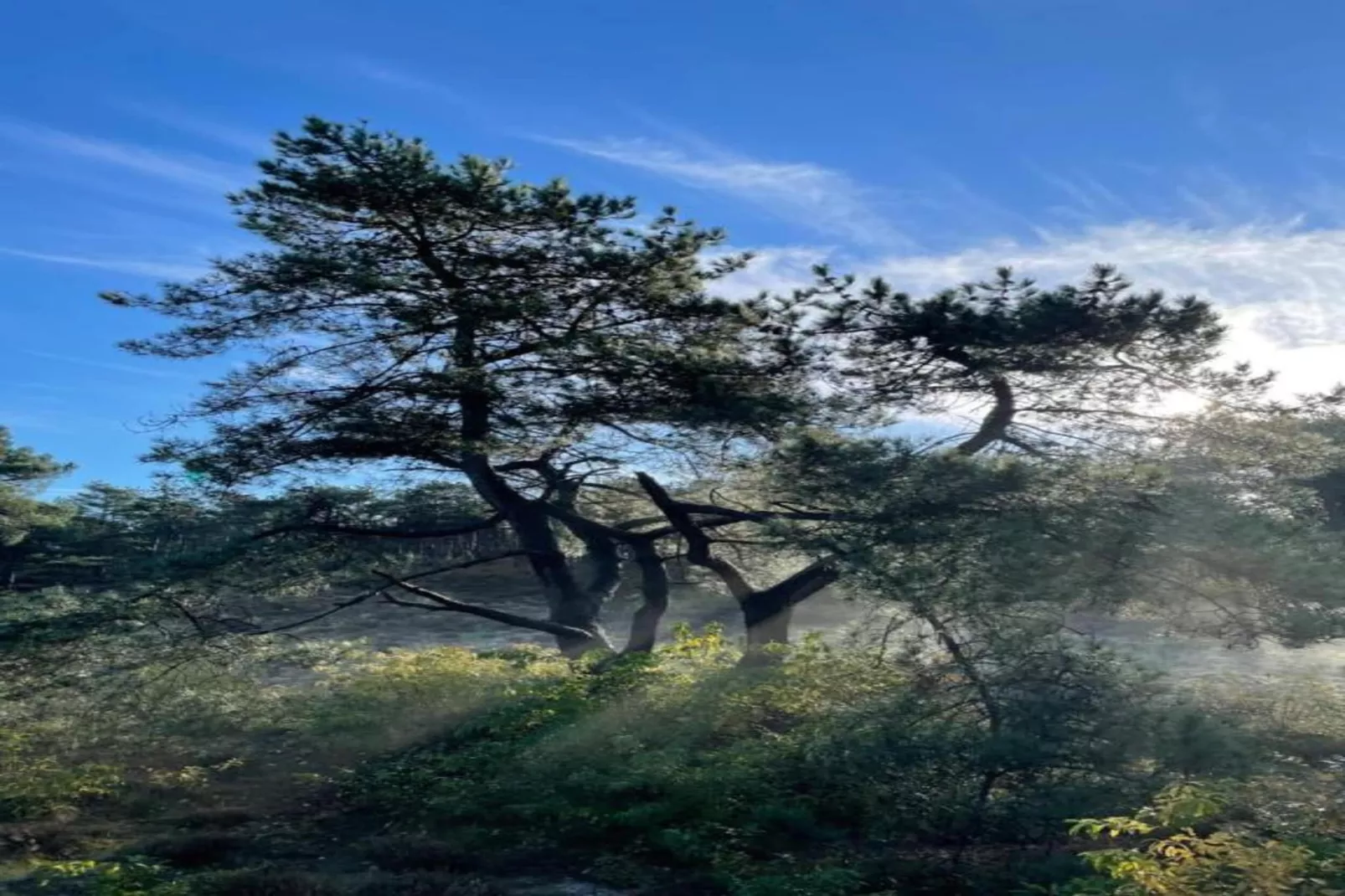 Boshof-Areas within 20km in summer