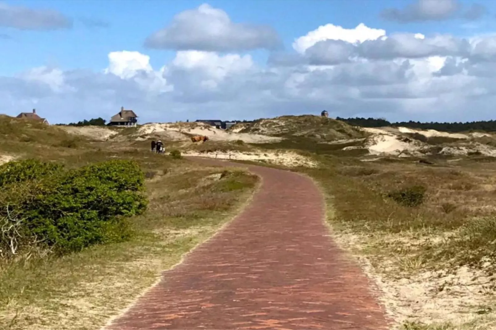 De Strandvogel-Areas within 20km in summer
