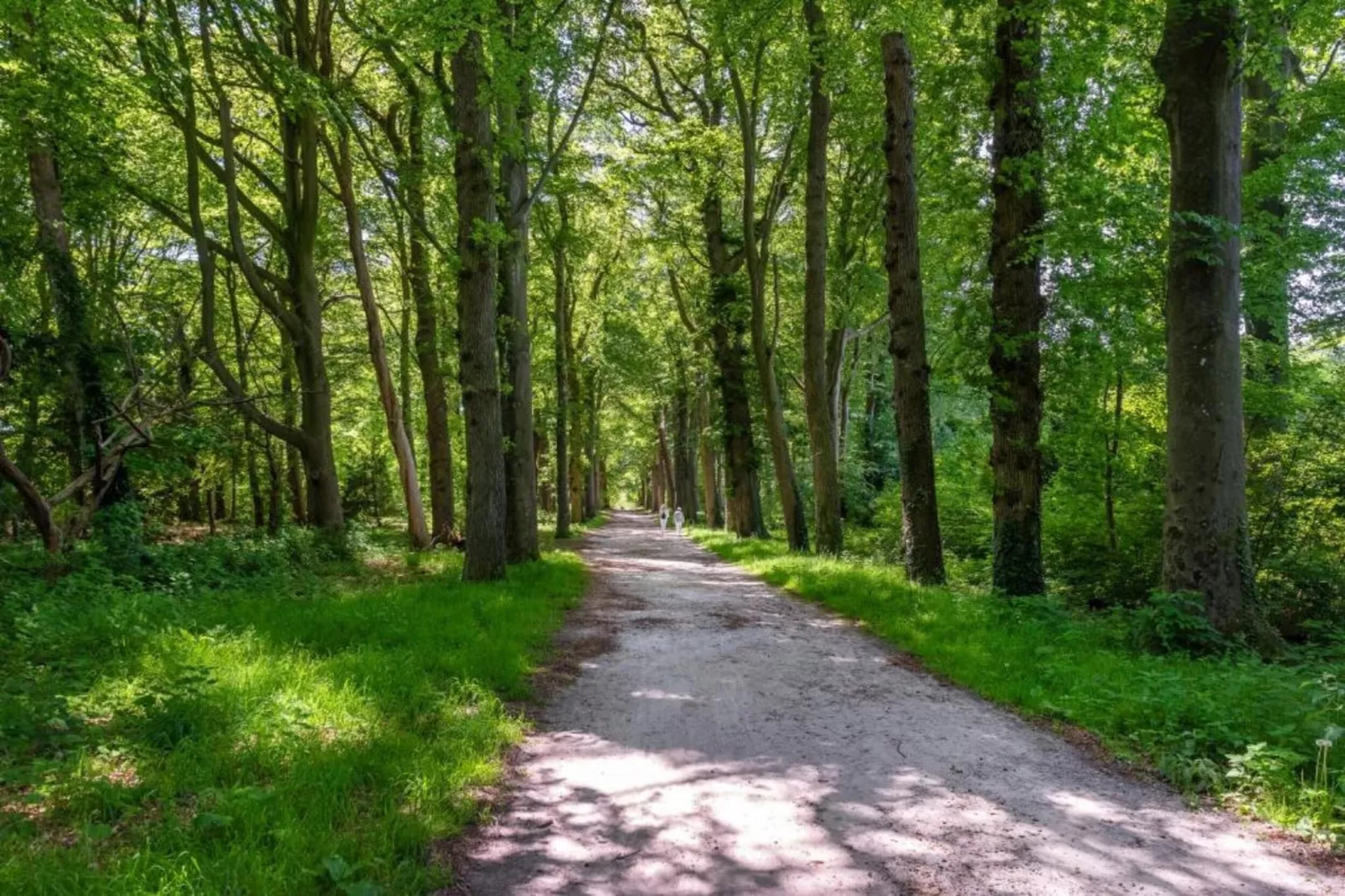Resort de Parel 4-Areas within 20km in summer
