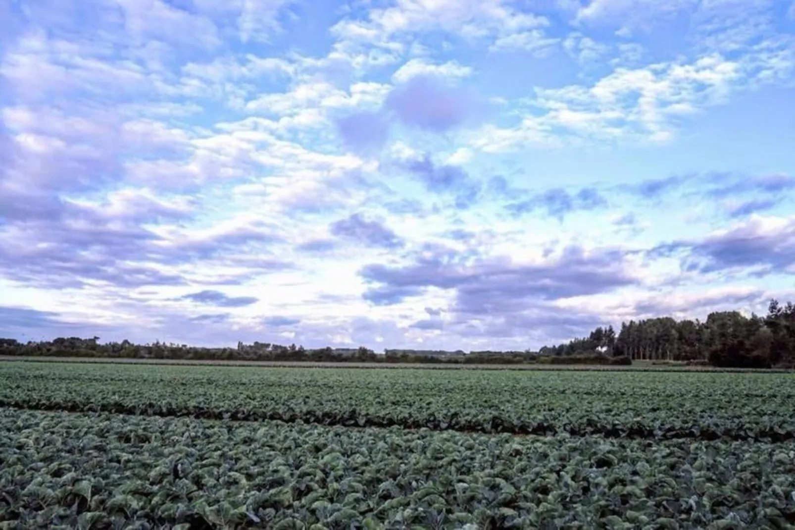 Studio - Kon Emmaweg 6-Areas within 20km in summer